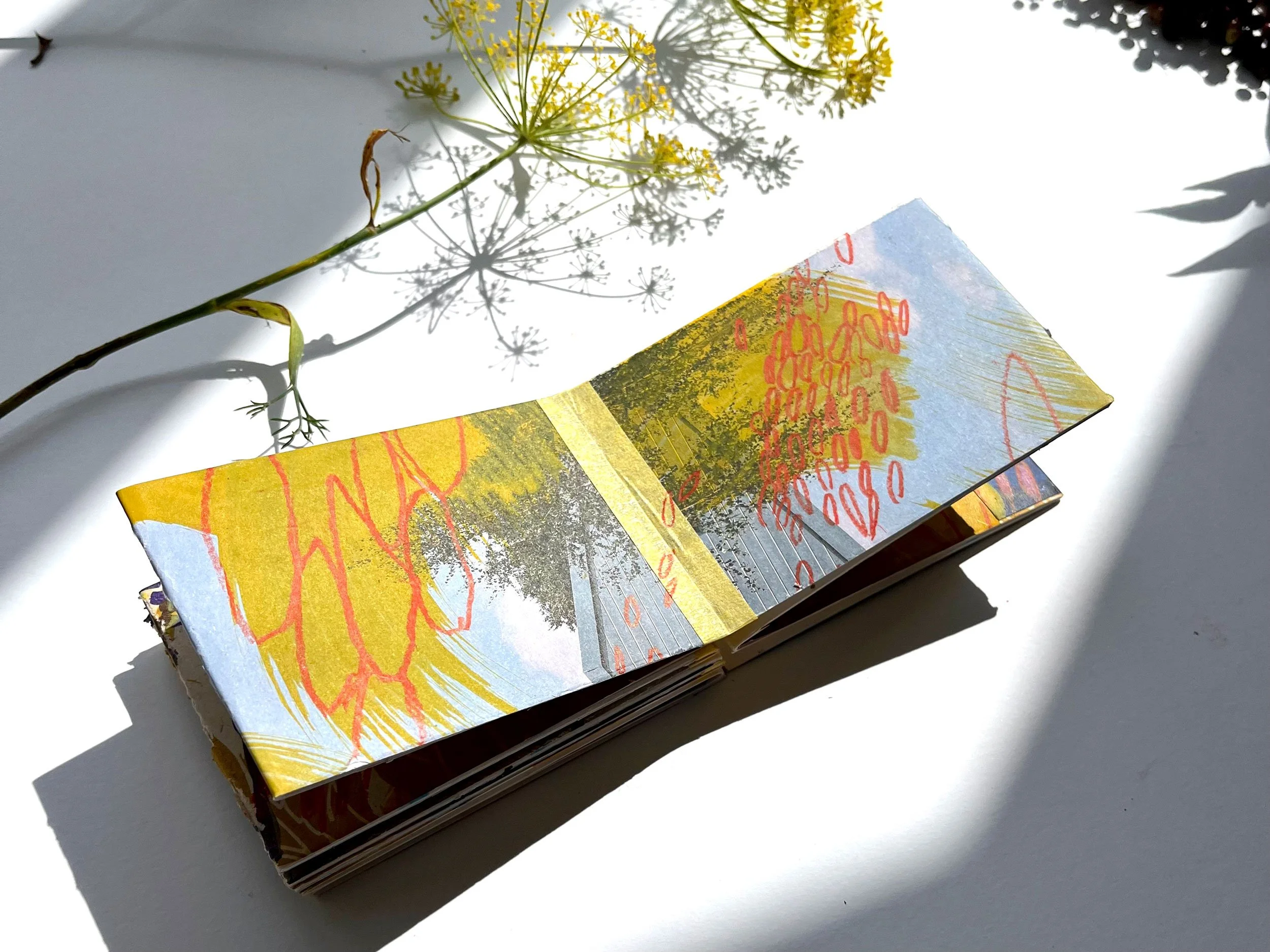 Concertina Journals