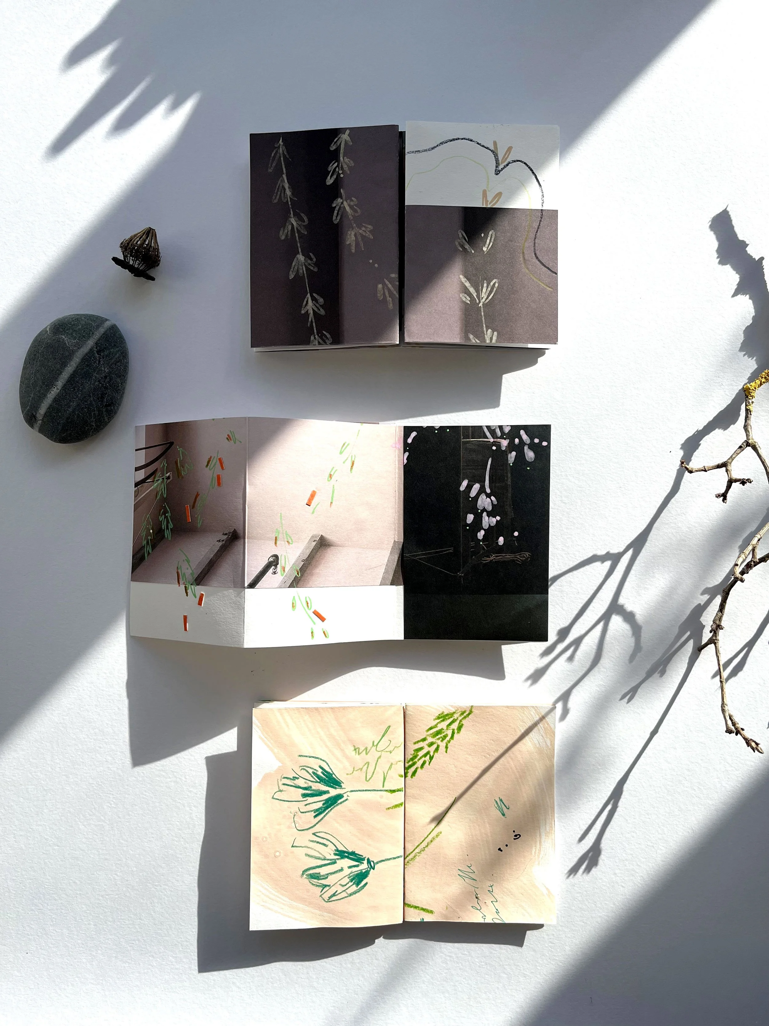 Workshop_Anna-Baker-3_frome-art-society_somerset_Dec-2026.jpg