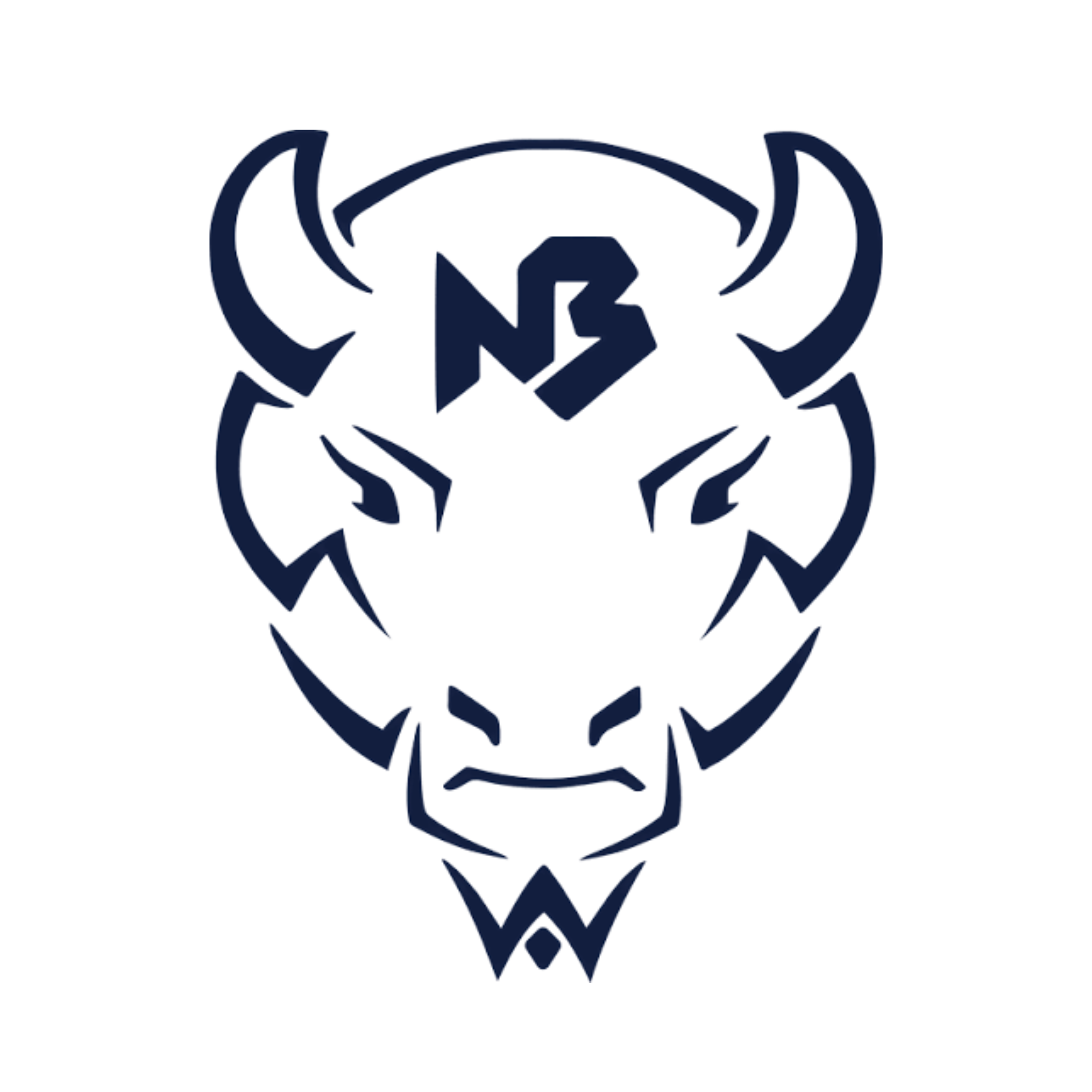 New Buffalo Senior Banner
