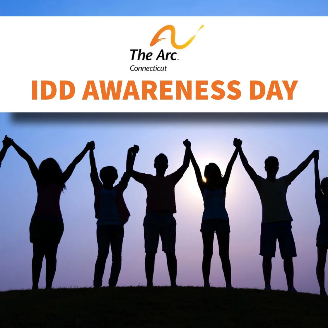 IDD Awareness Day
