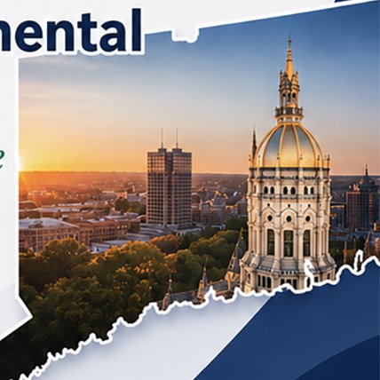 Behavioral Health &amp; Intellectual/Developmental Disabilities:  Building Responsive Systems of Care