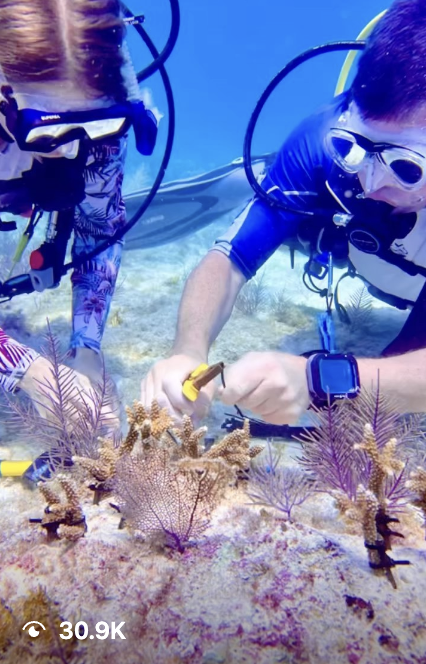 Screenshot 2026-04-19 at 4.28.16 PM.png