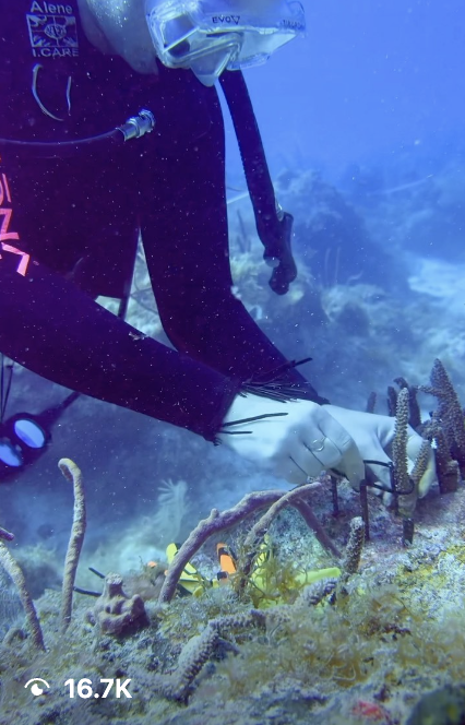 Screenshot 2026-04-19 at 4.31.28 PM.png