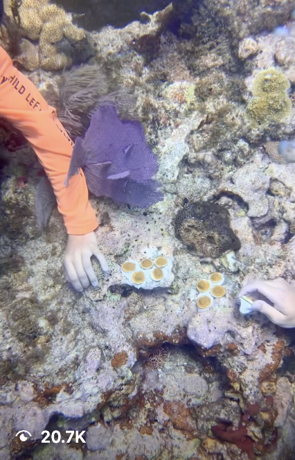 Screenshot 2026-04-19 at 4.29.22 PM.png