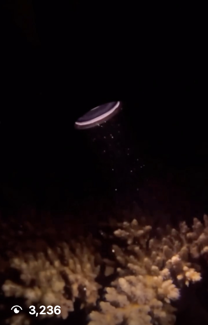 Screenshot 2026-04-19 at 4.25.09 PM.png