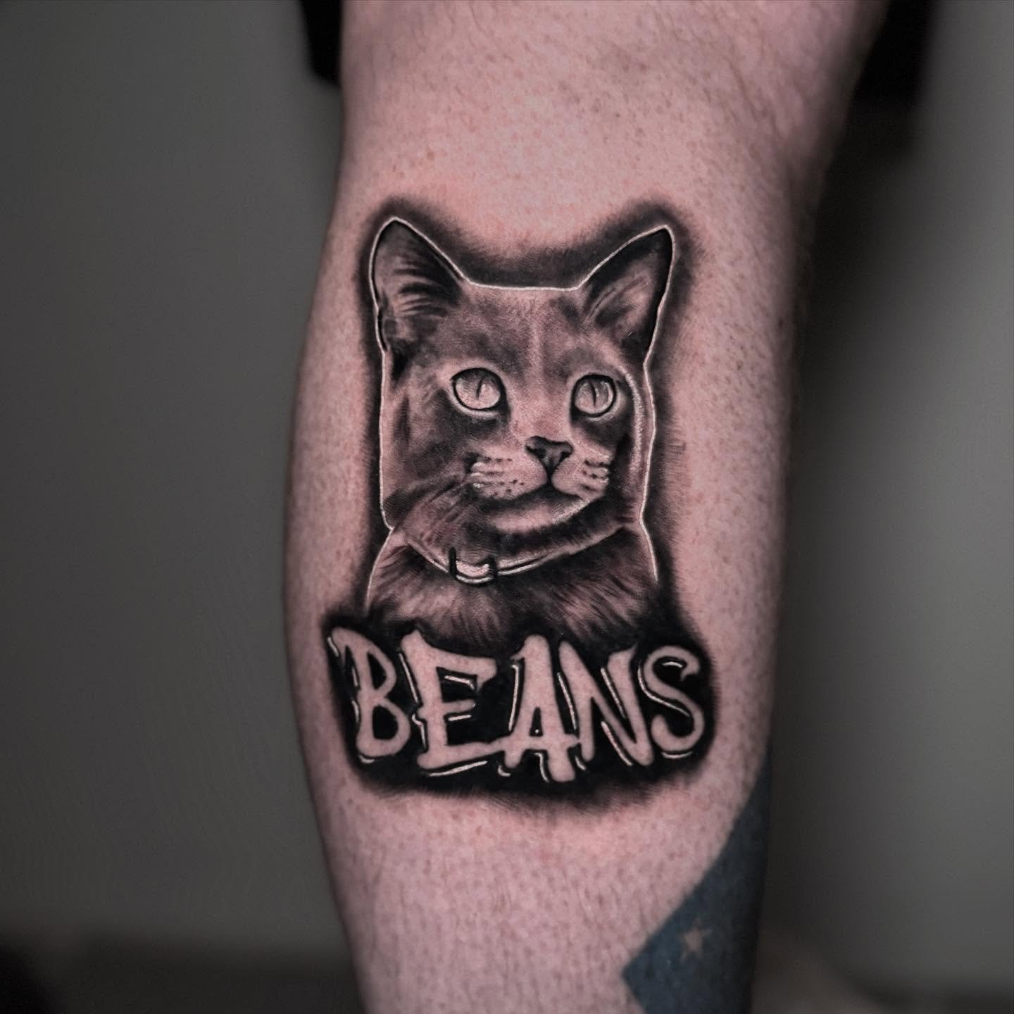 Rest In Peace Beans 🐾
.
Booking for June 
.
📍 @electricpeachtattooco 
.
#tattoo #catportrait #petportraitartist #petportrait #pettattoo #cattoo #cattattoo #art #murfreesborotattoo #realism #murfreesborotattooartist