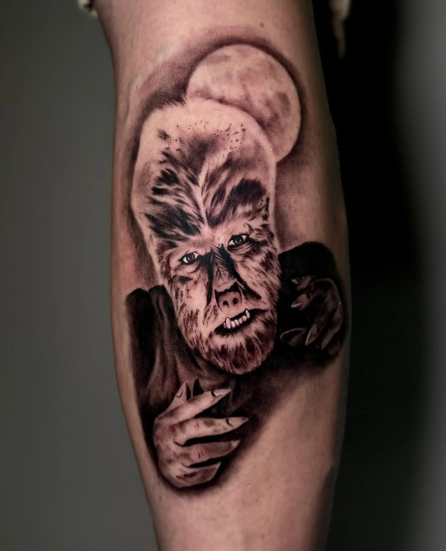 Almost done with this Wolf Man portrait 
from the 1941 film, The Wolf Man 🎥🎬
.
📍 @electricpeachtattooco 
.
#thewolfman #1941 #film #horrorfilm #wolfman #horror #portrait #blackandgrey #portraittattoo #moon #moontattoo #wolf #wolftattoo #art #tatto