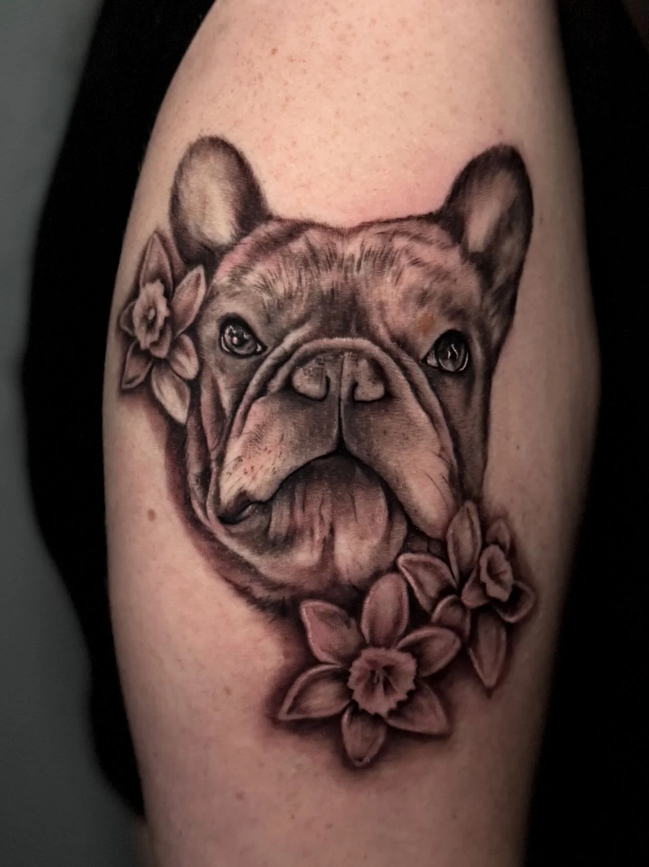 🐾Booking for October 👻🎃
.
DM for a quote
.
📍 @electricpeachtattooco 
.
#tattoo #petportrait #frenchie #frenchie #dogtattoo #dogportraittattoo #dogportrait #art #artist #murfreesborotattooartist #murfreesborotattoo #nashvilletattoo #petportraitart