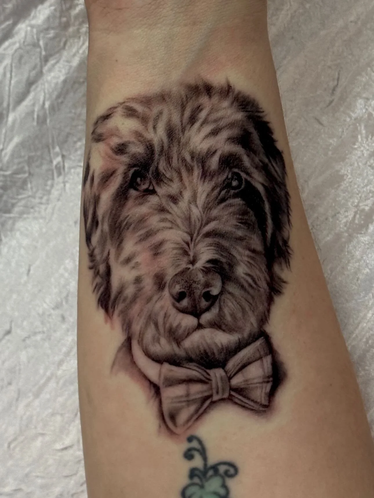 𝑃𝑟𝑜𝑔𝑟𝑒𝑠𝑠 𝑝𝑖𝑐 🐾
&bull;
𝐵𝑜𝑜𝑘𝑖𝑛𝑔 𝑓𝑜𝑟 𝐽𝑢𝑛𝑒 𝑎𝑛𝑑 𝐽𝑢𝑙𝑦 
᯽𝑓𝑜𝑟 𝑎 𝑞𝑢𝑜𝑡𝑒 𝑎𝑛𝑑 𝑡𝑜 𝑏𝑜𝑜𝑘: 𝑣𝑒𝑛𝑢𝑒.𝑖𝑛𝑘/𝑎𝑙𝑒𝑥.𝑖𝑛𝑘𝑠_ 
᯽ 𝑏𝑜𝑜𝑘 𝑤/𝑜𝑢𝑡 𝑞𝑢𝑜𝑡𝑒: 𝑤𝑤𝑤.𝑎𝑙𝑒𝑥𝑖𝑛𝑘𝑠.𝑐𝑜𝑚
𝐿𝐼𝑁𝐾𝑆 𝐼𝑁 𝐵𝐼𝑂