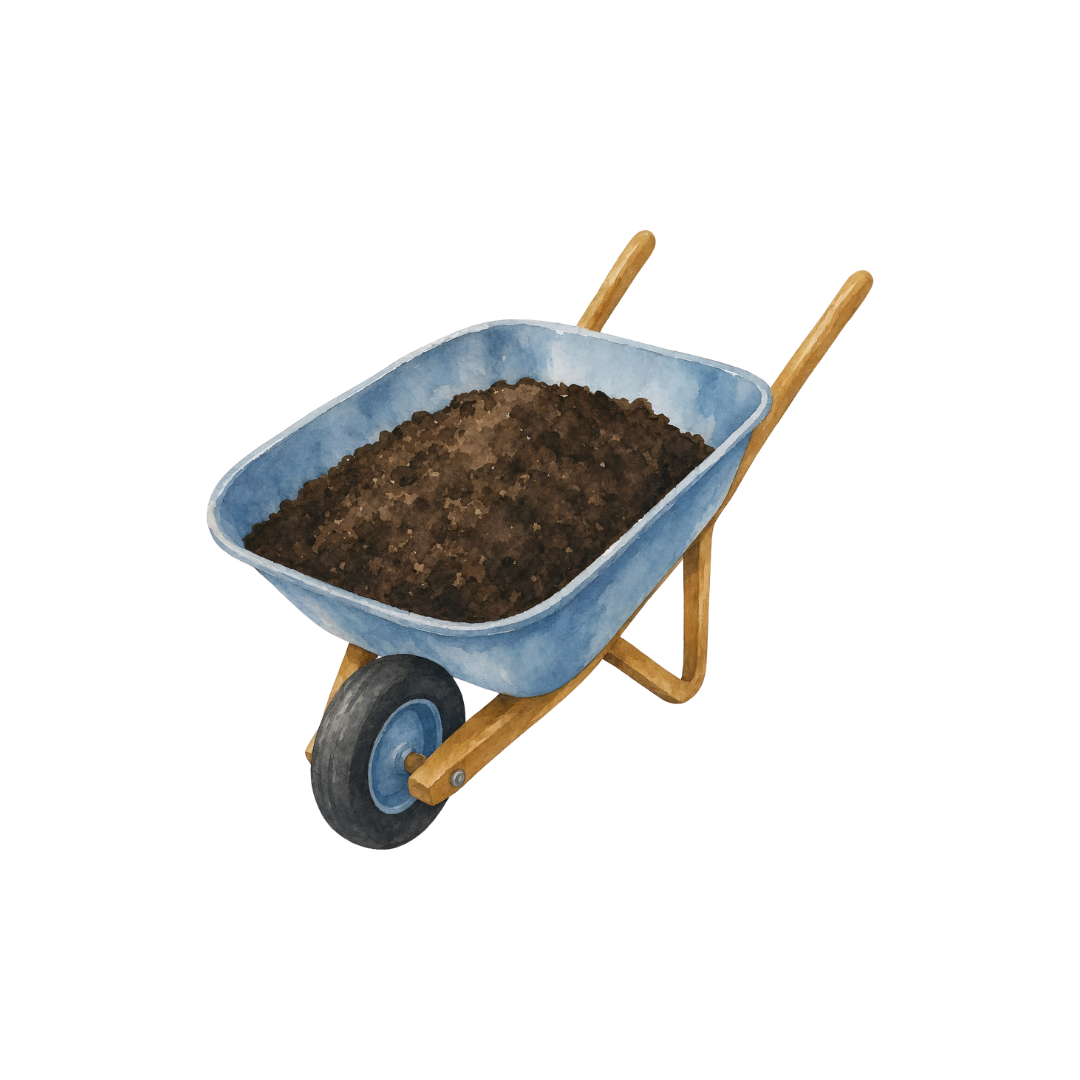 Older Than dirt