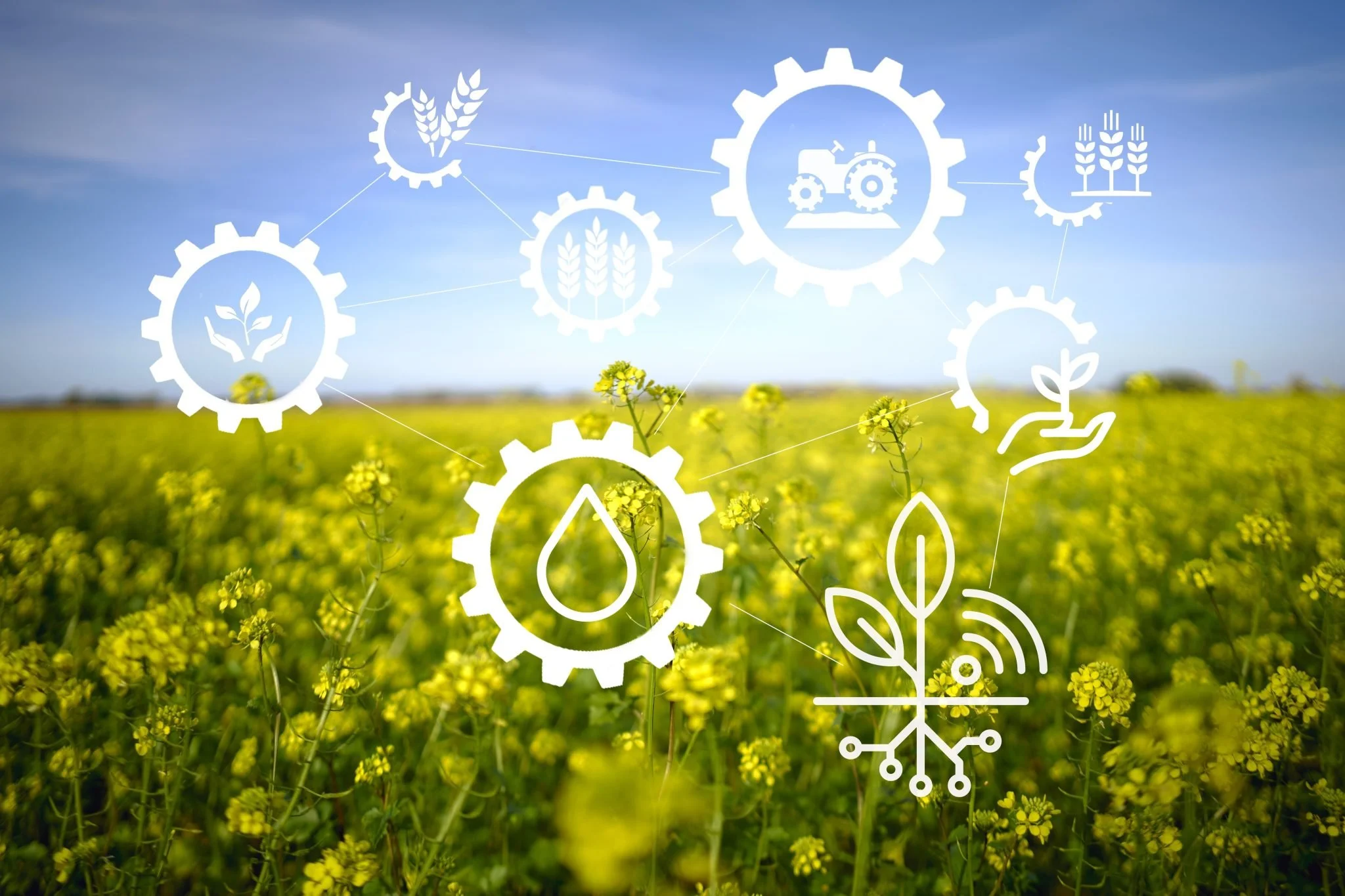 Aidex Education Systems: From Plows to Precision: The Evolution of Agriculture Education