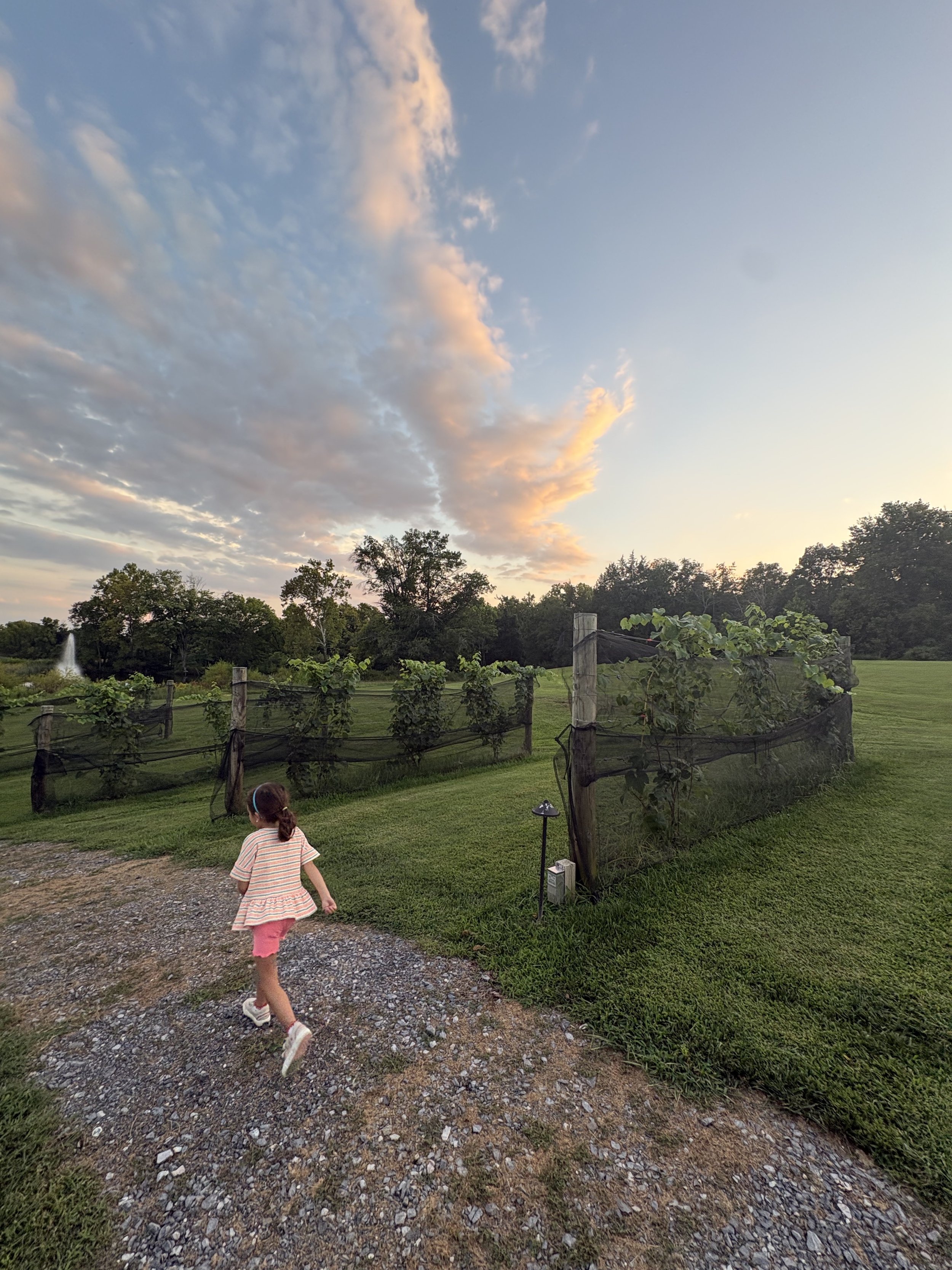 summer family life with sahar boussard.jpg