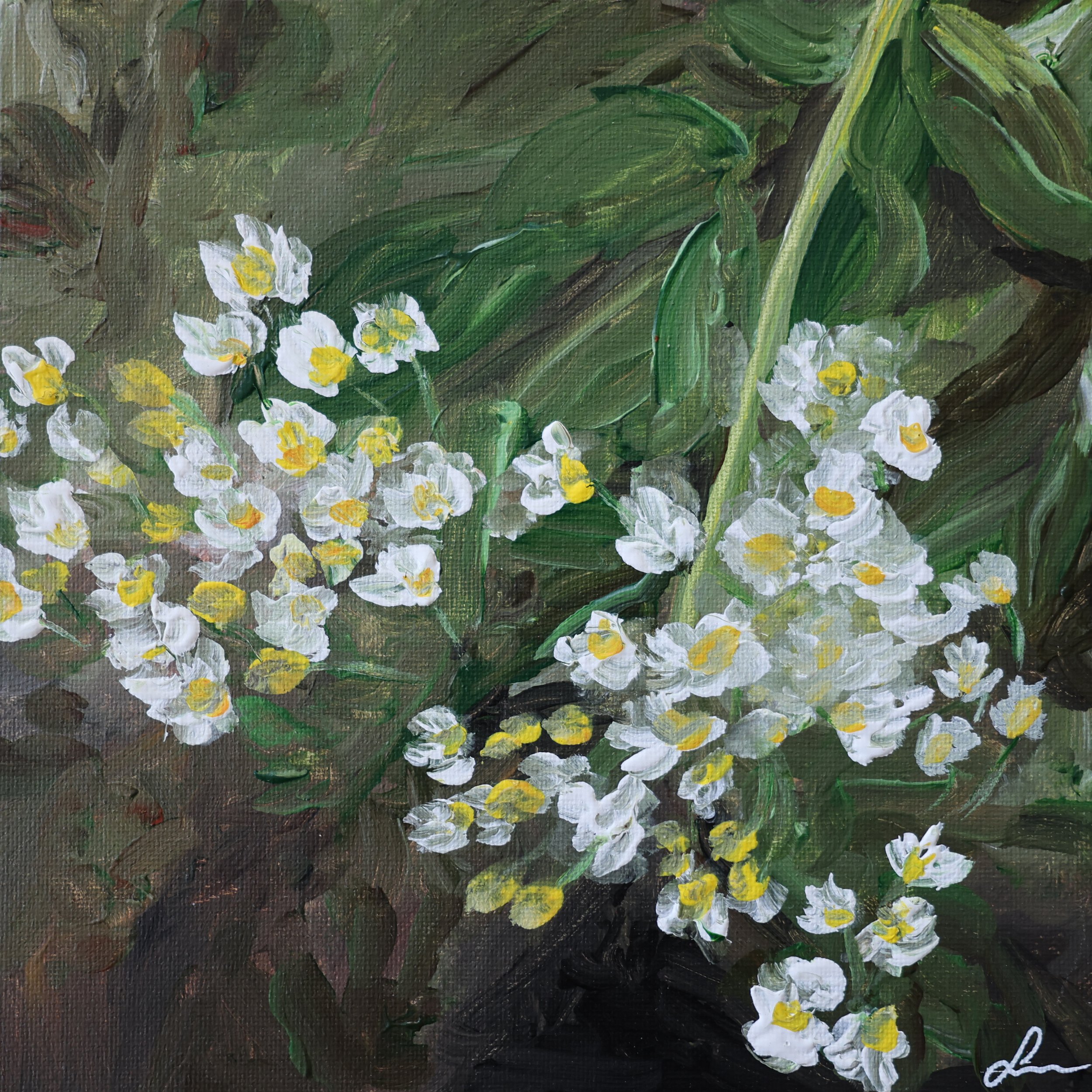 FloralStudy#4.jpg