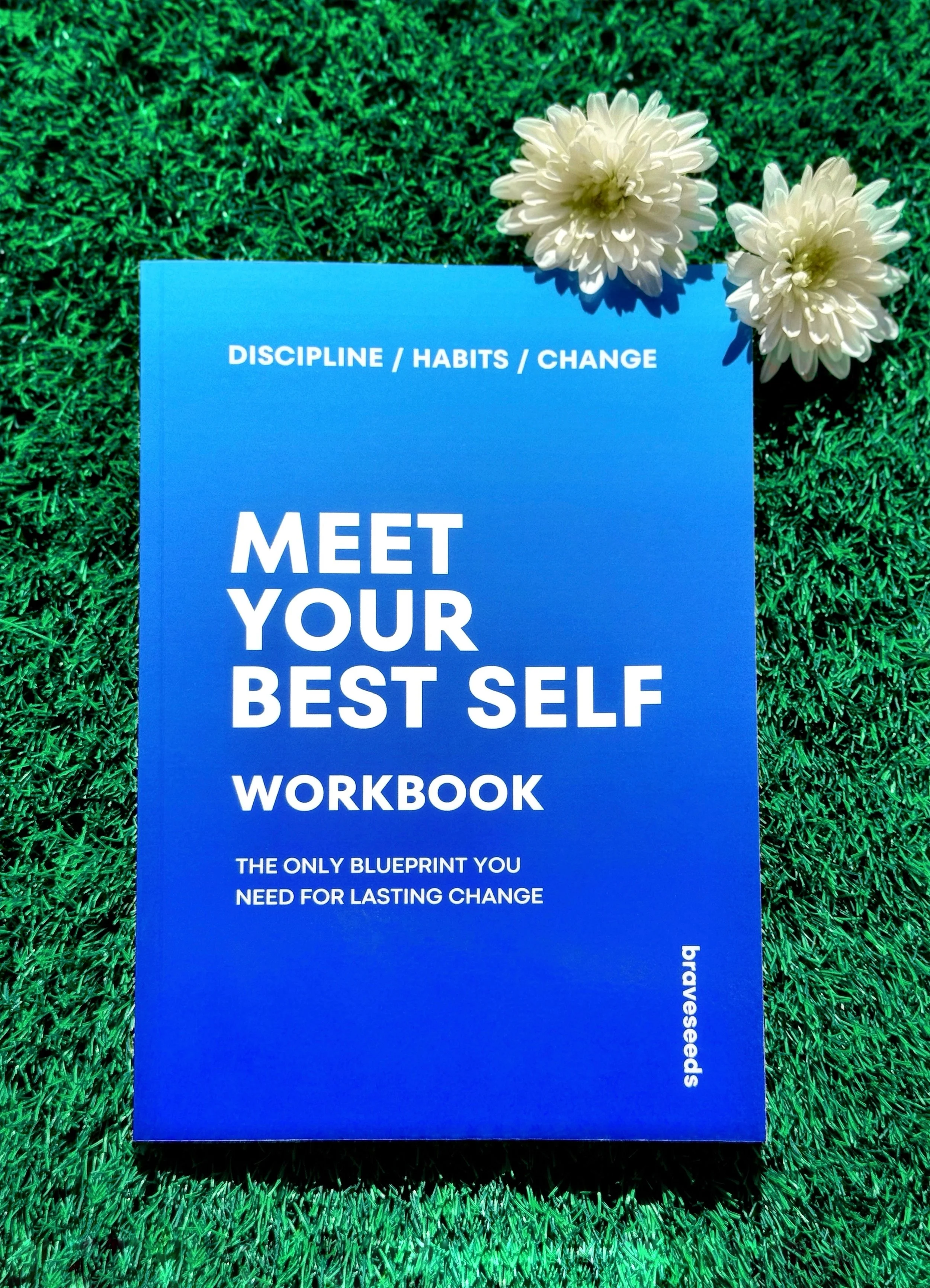 habits books, habits workbooks, books on self discipline, self improvement books, self help books, resilience books, discipline books, setting habits books