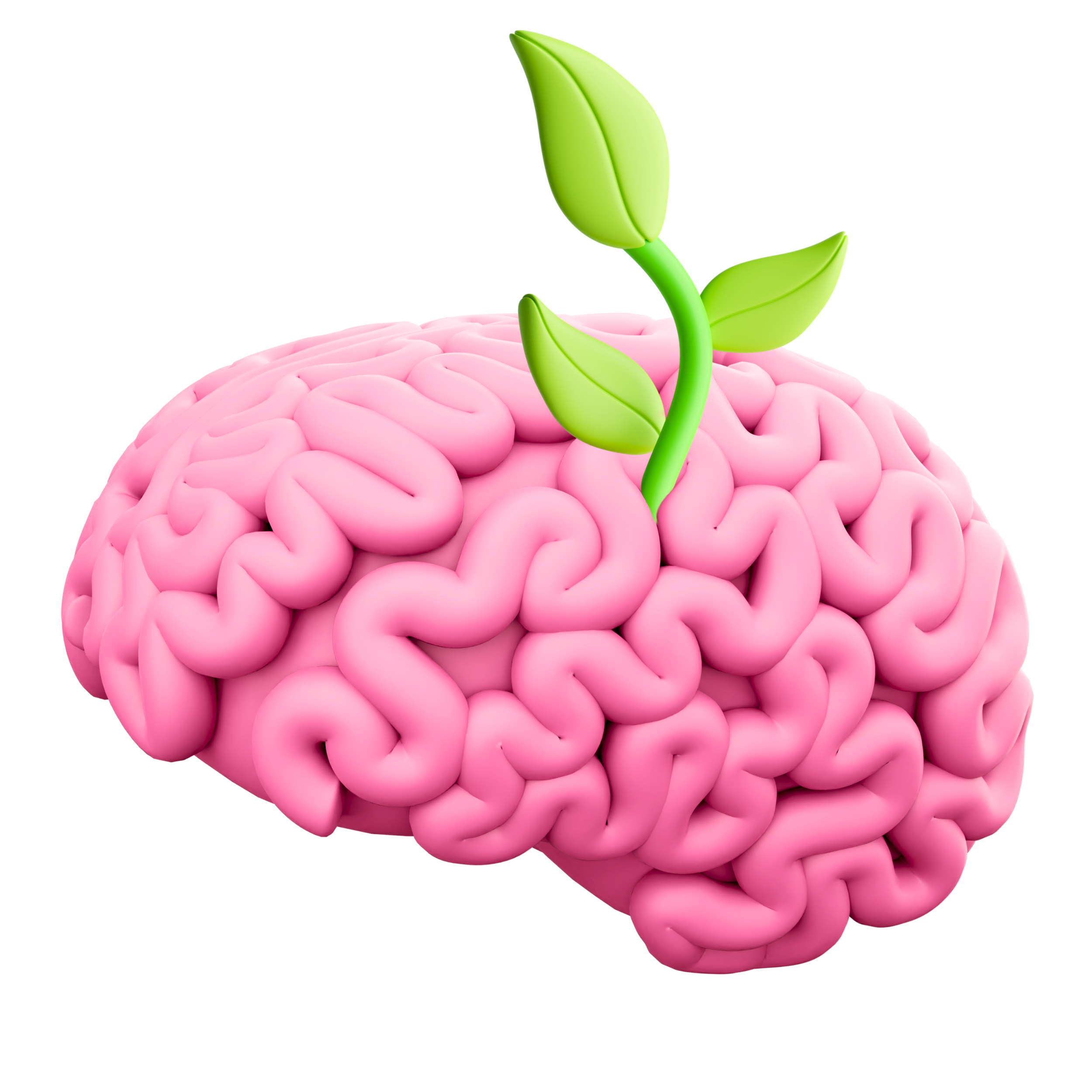 anxiety course, agoraphobia course, agoraphobia coaching, agoraphobia, agoraphobia help, anxiety disorder course, anxiety coaching, self-help coaching, self development courses, self-development course, self development coaching, life coaching
