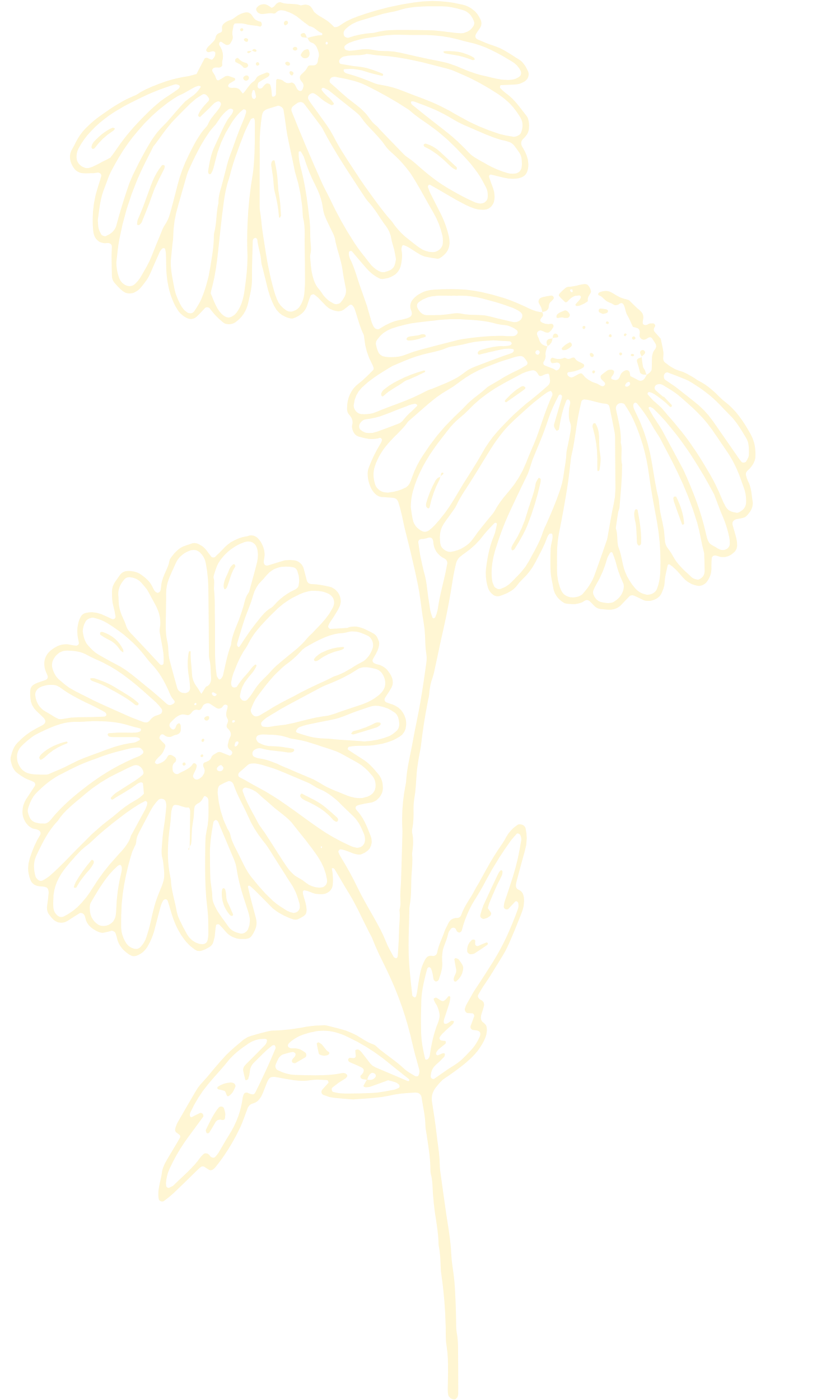 emdr therapy nashville