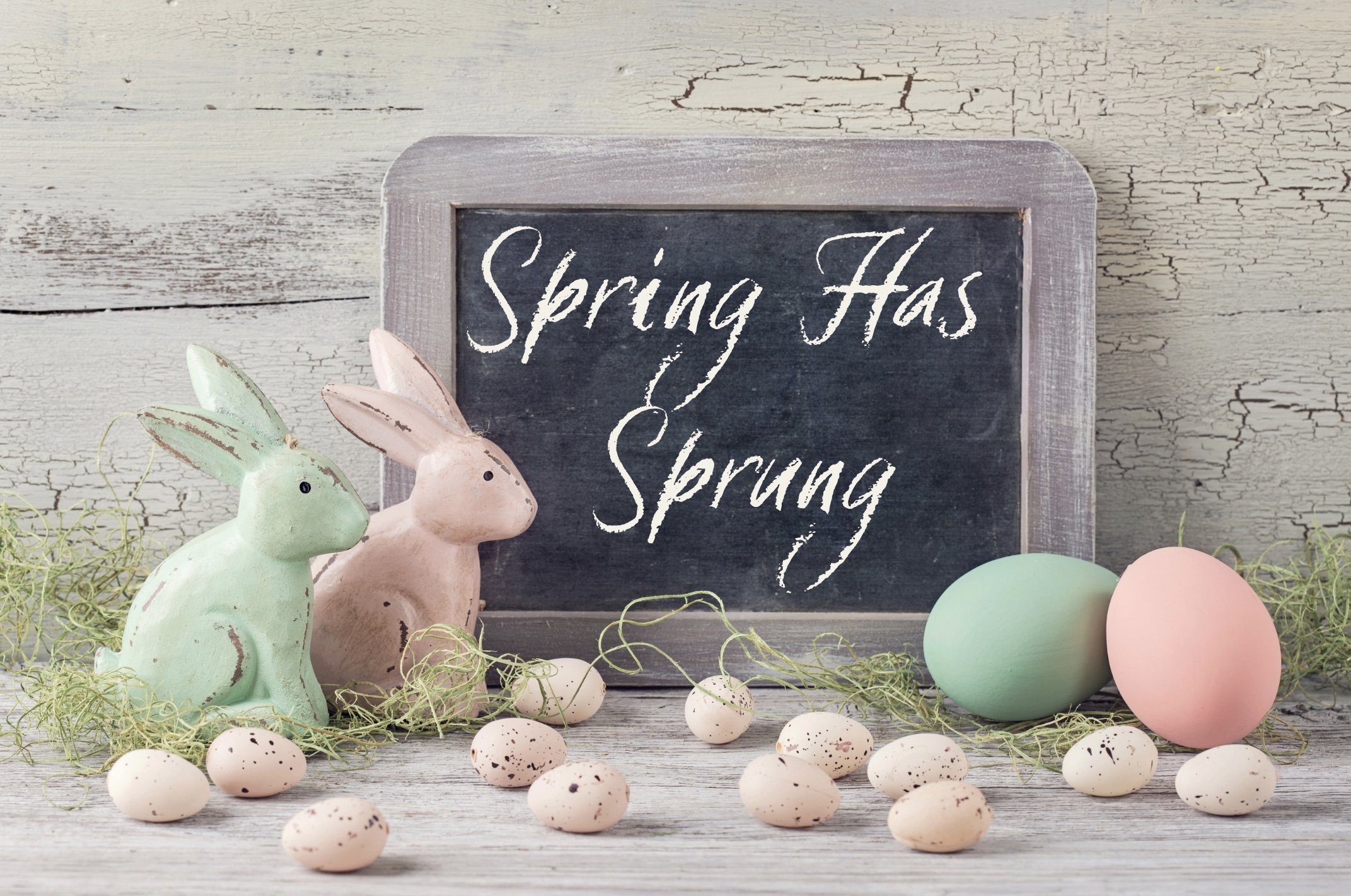 Diane's House Spring 2026.jpeg