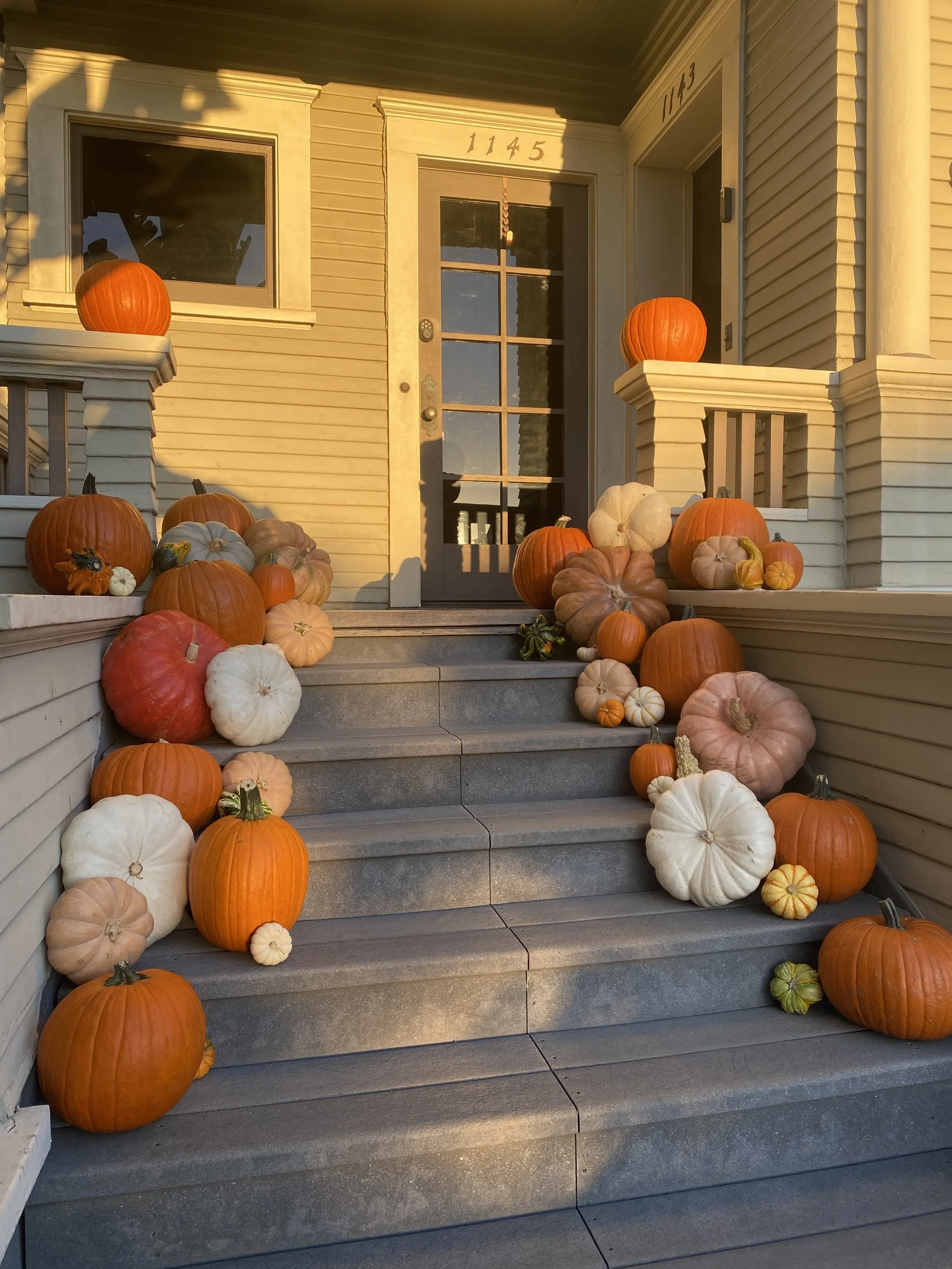 Decorated front porch stairs with pumpkins of various sizes and colors, including orange, white, and beige, arranged along the steps and on the railings, with sunlight casting shadows on the house's exterior.