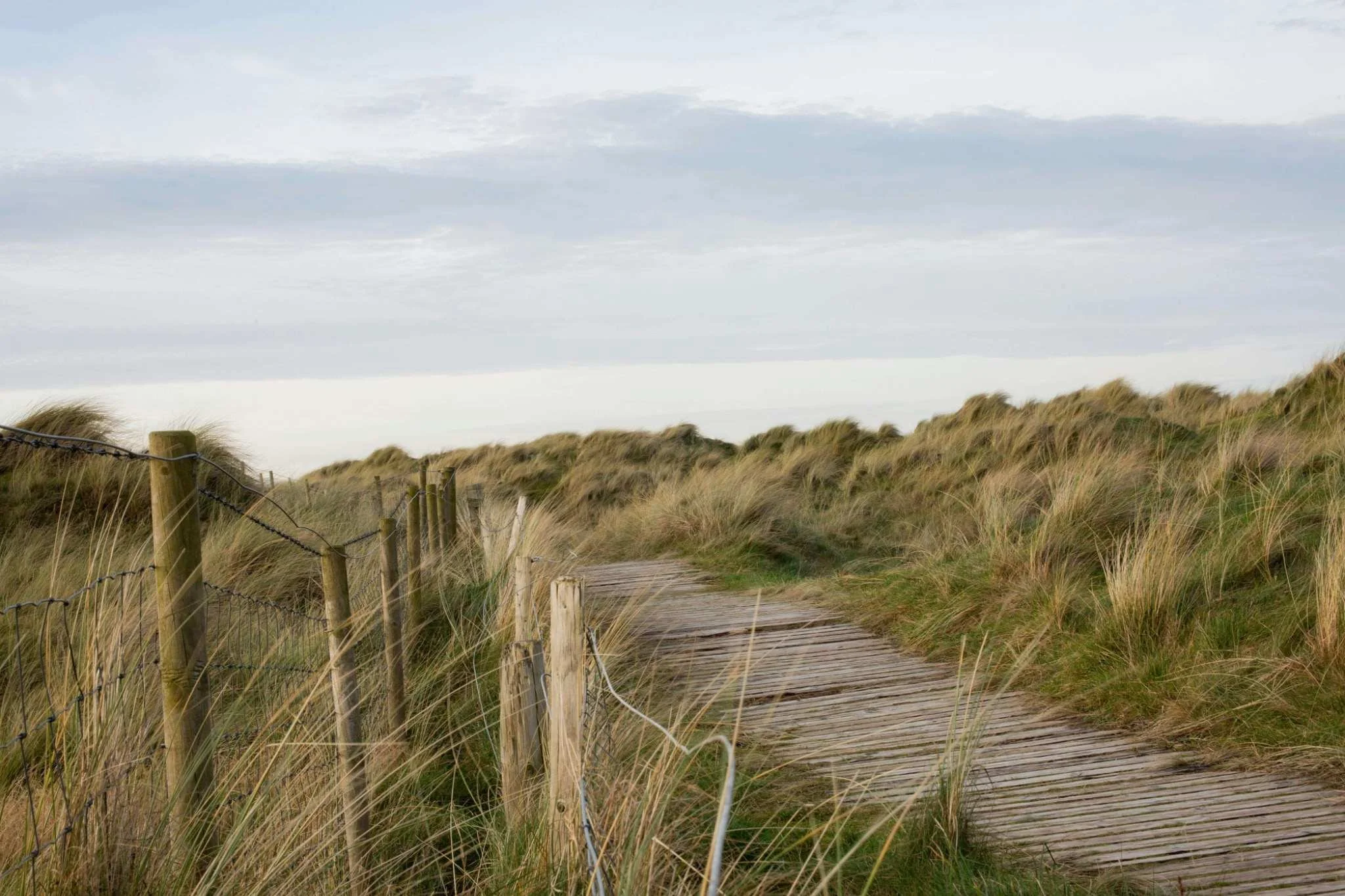 Wooden boardwalk winding through coastal sand dunes and beach grass beneath a cloudy sky in Ireland.