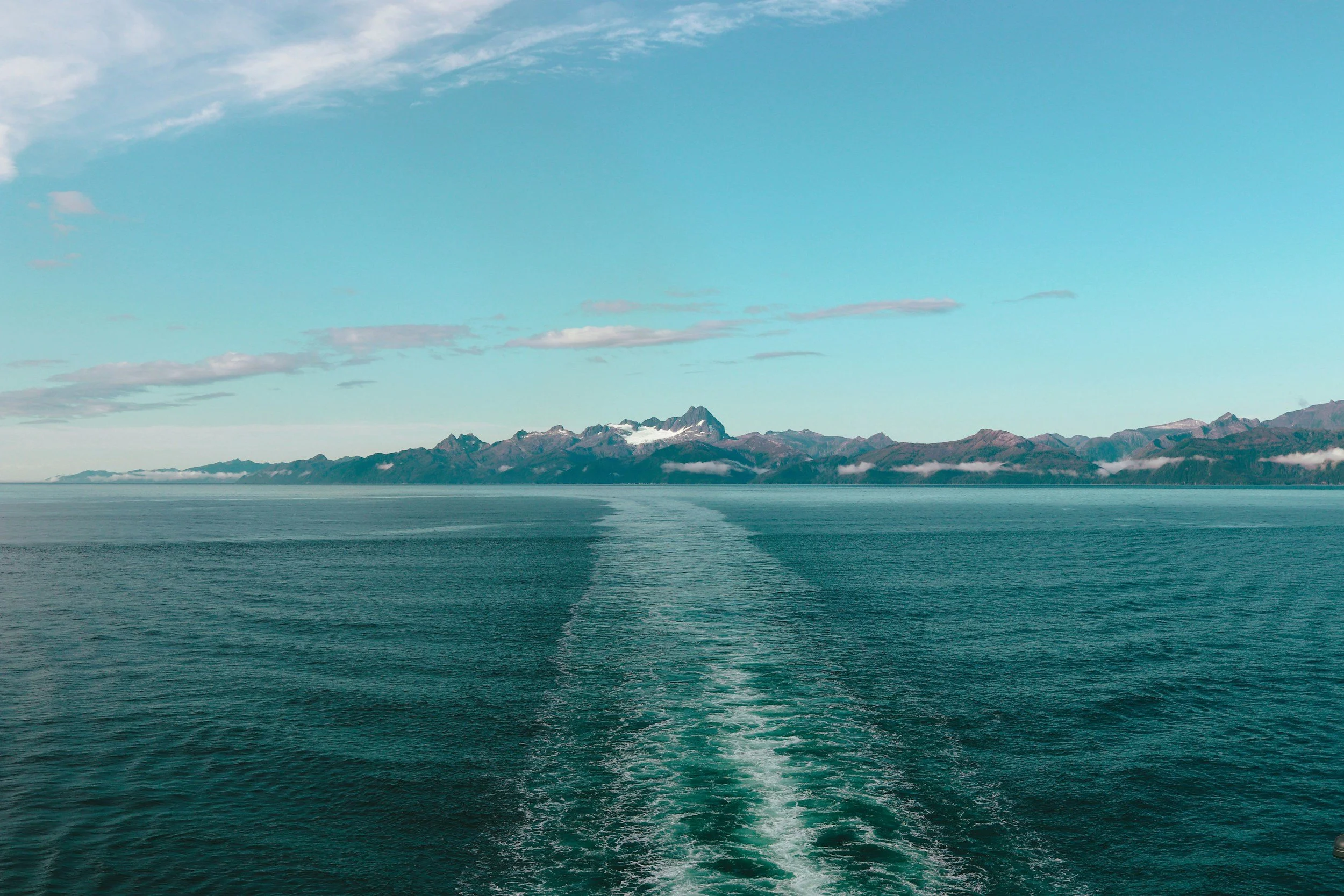 Family Cruise Planning Services