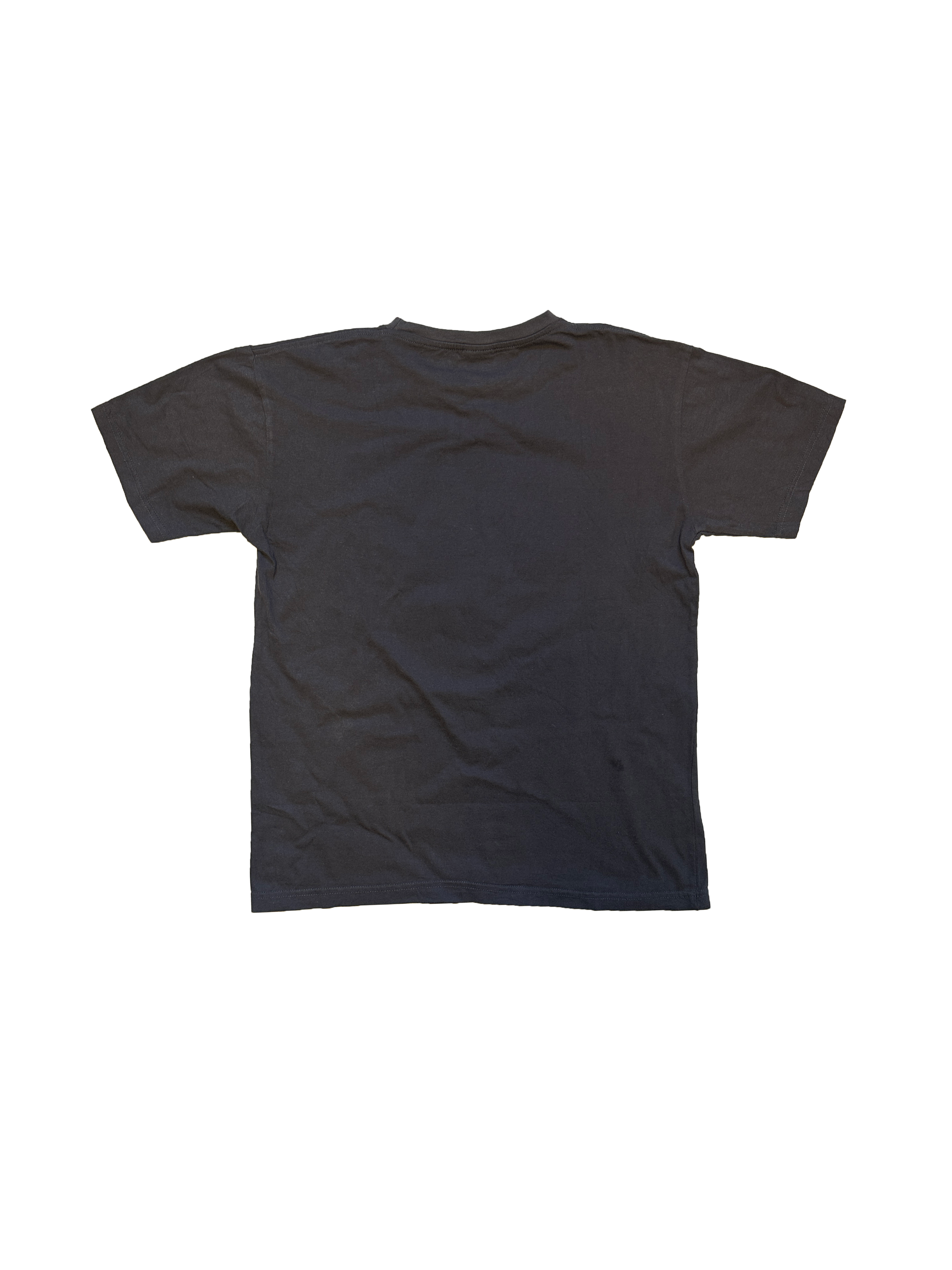 Visa Vintage Tee - New Zealand LARGE BACK.png