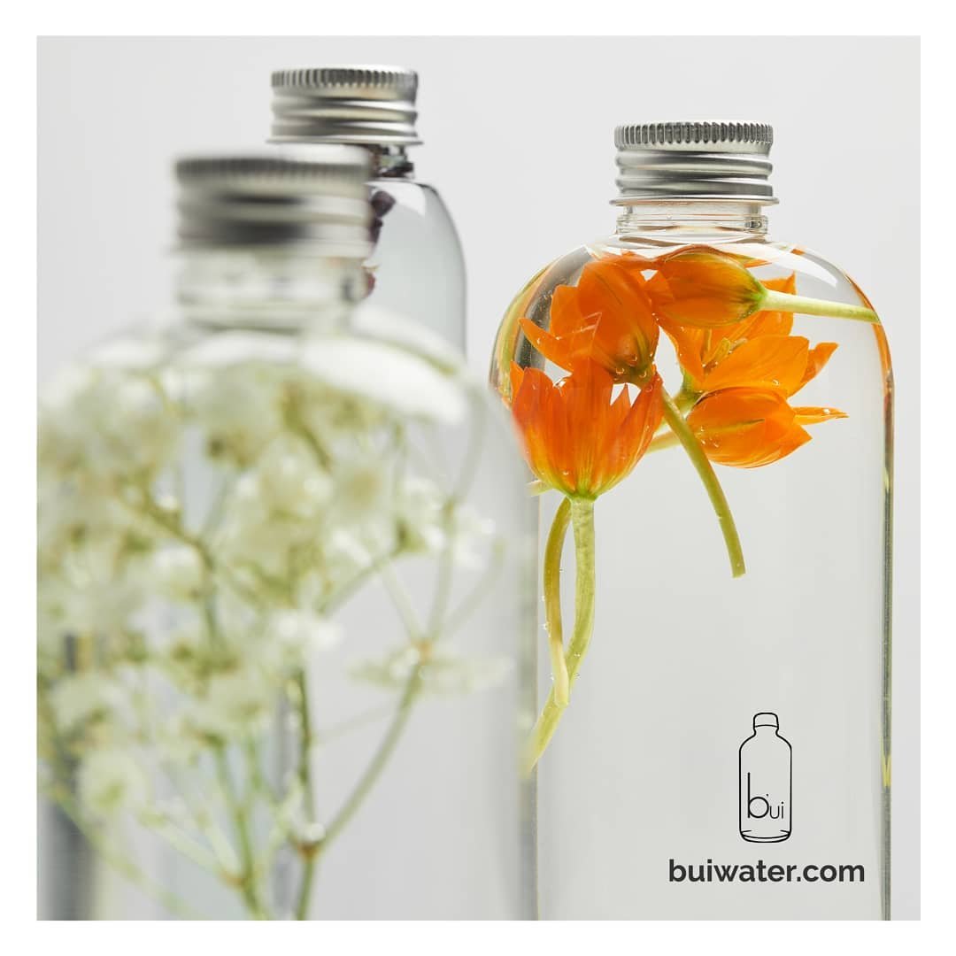 b'ui  te invita a participar en nuestro concurso #reciclandoconbui .

Envia una foto de como reciclas o reutilizas tus botellas b'ui.♻️

Etiqueta a 3 amigos con el hashtag #reciclandoconbui 

🏅Puedes ganar una caja de agua b'ui si tu foto es la m&aa