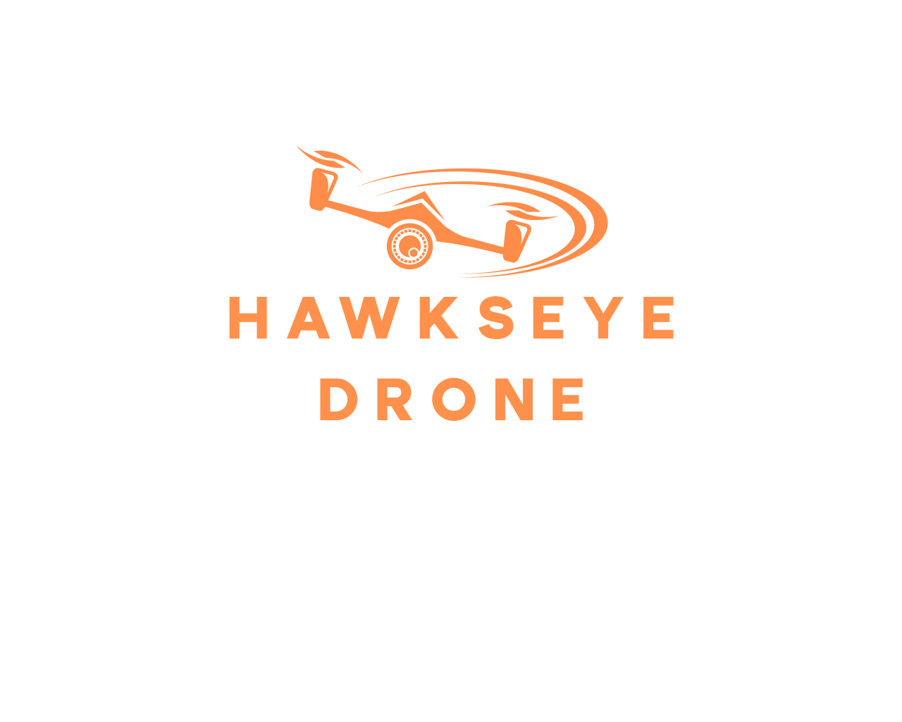 See It from A Hawk's Eye-View