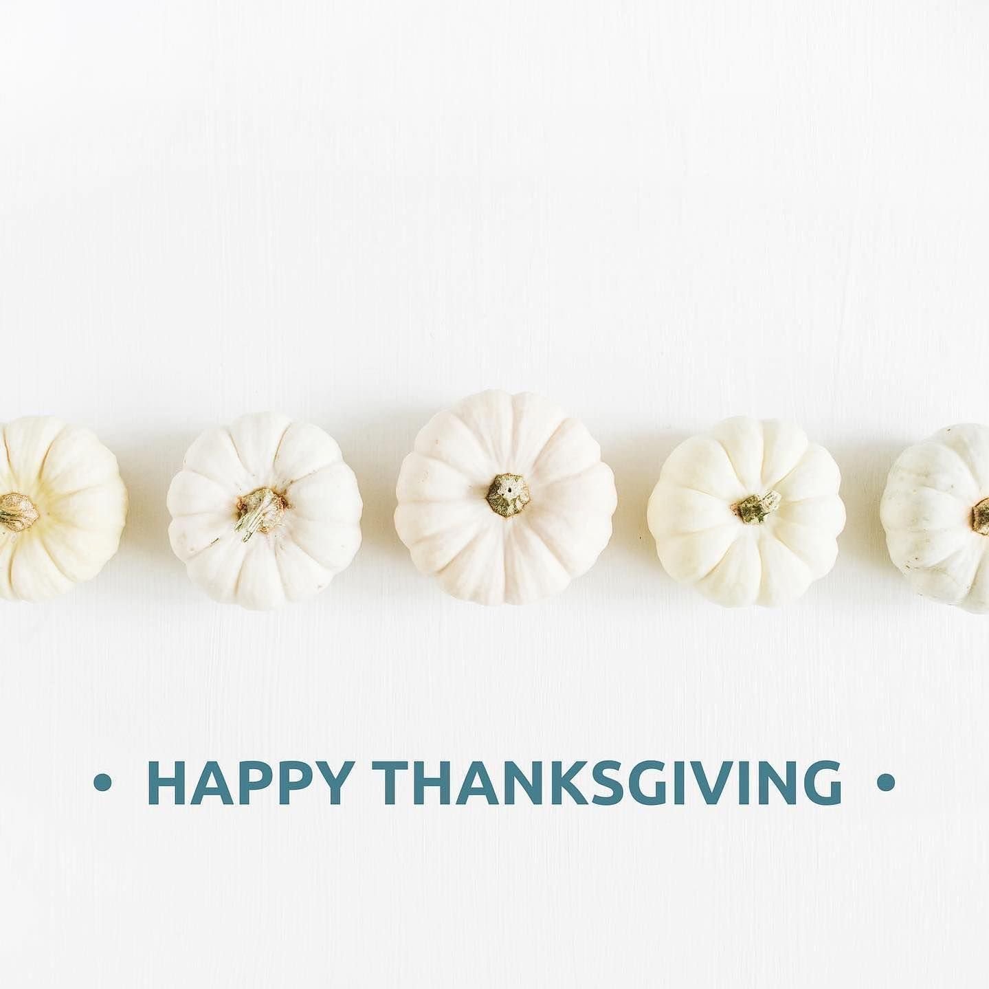 Happy Thanksgiving from us to you! We hope your day is filled with love and laughter surrounded by the people you are most thankful for 💕⁣