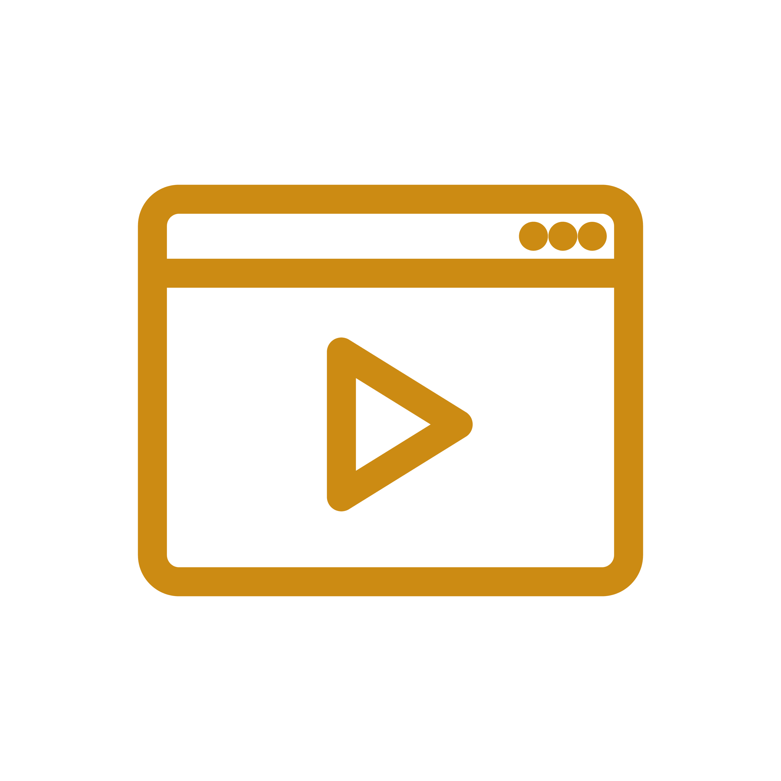 Icon of a web browser window with a play button inside.