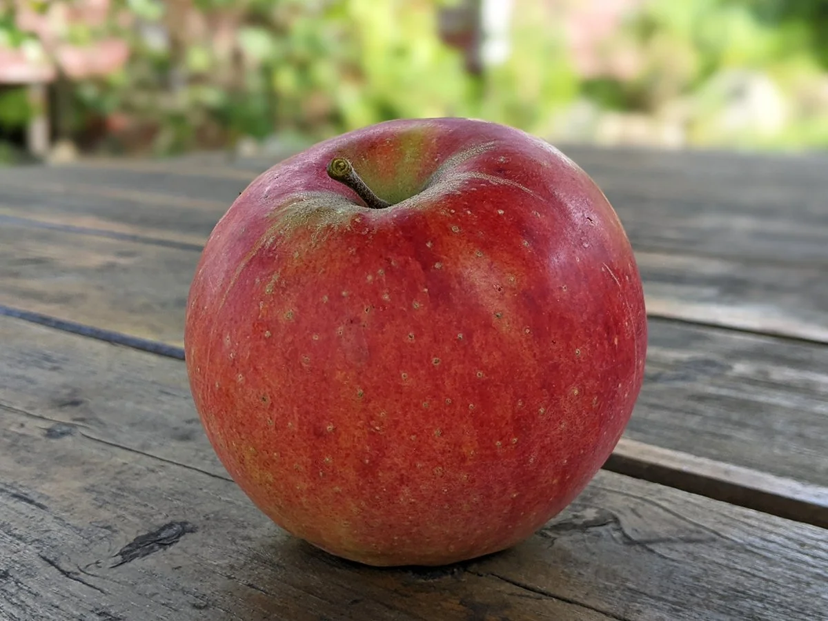 Canadian Strawberry
