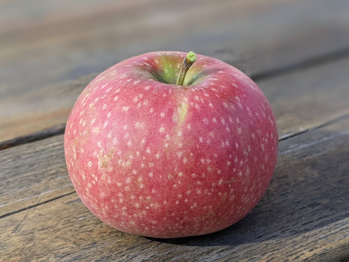 Appleoosa