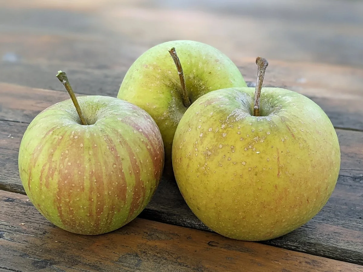 Rubinette