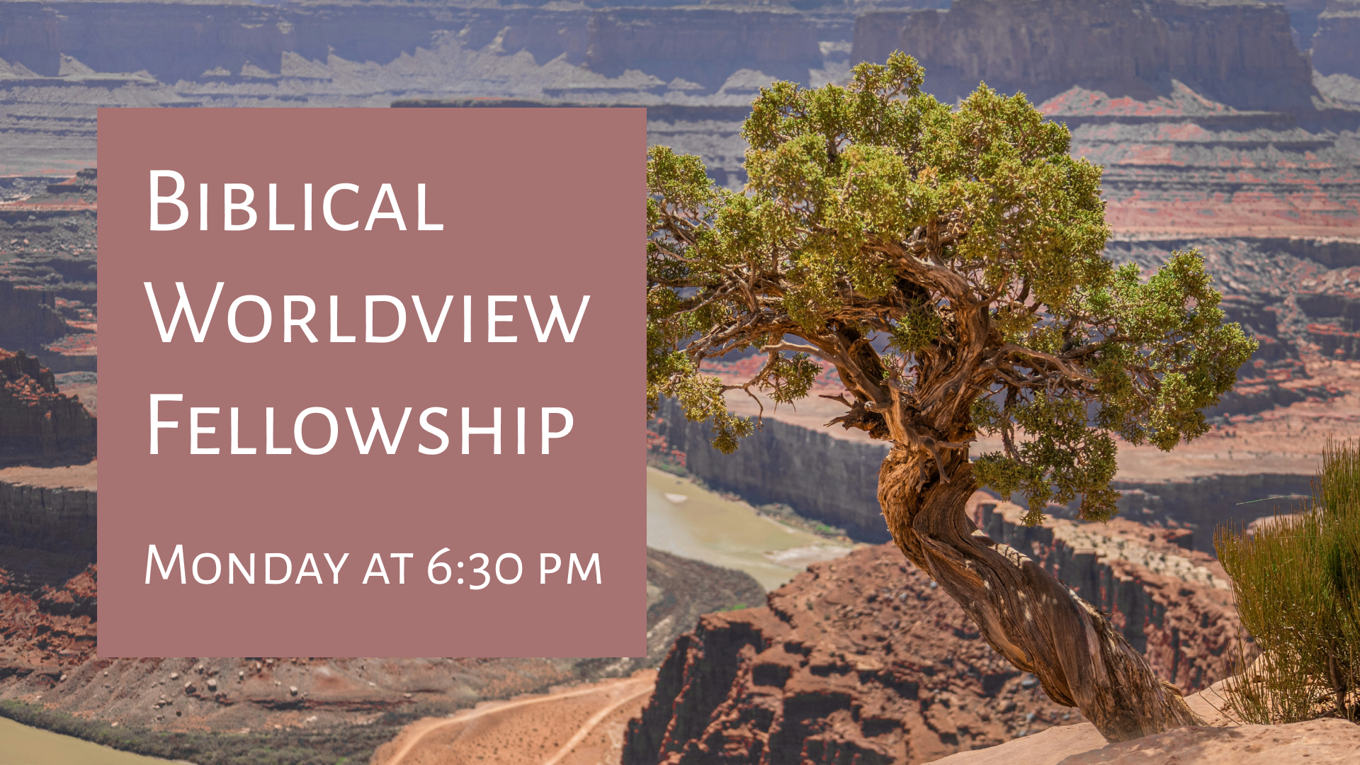 Biblical Worldview Fellowship