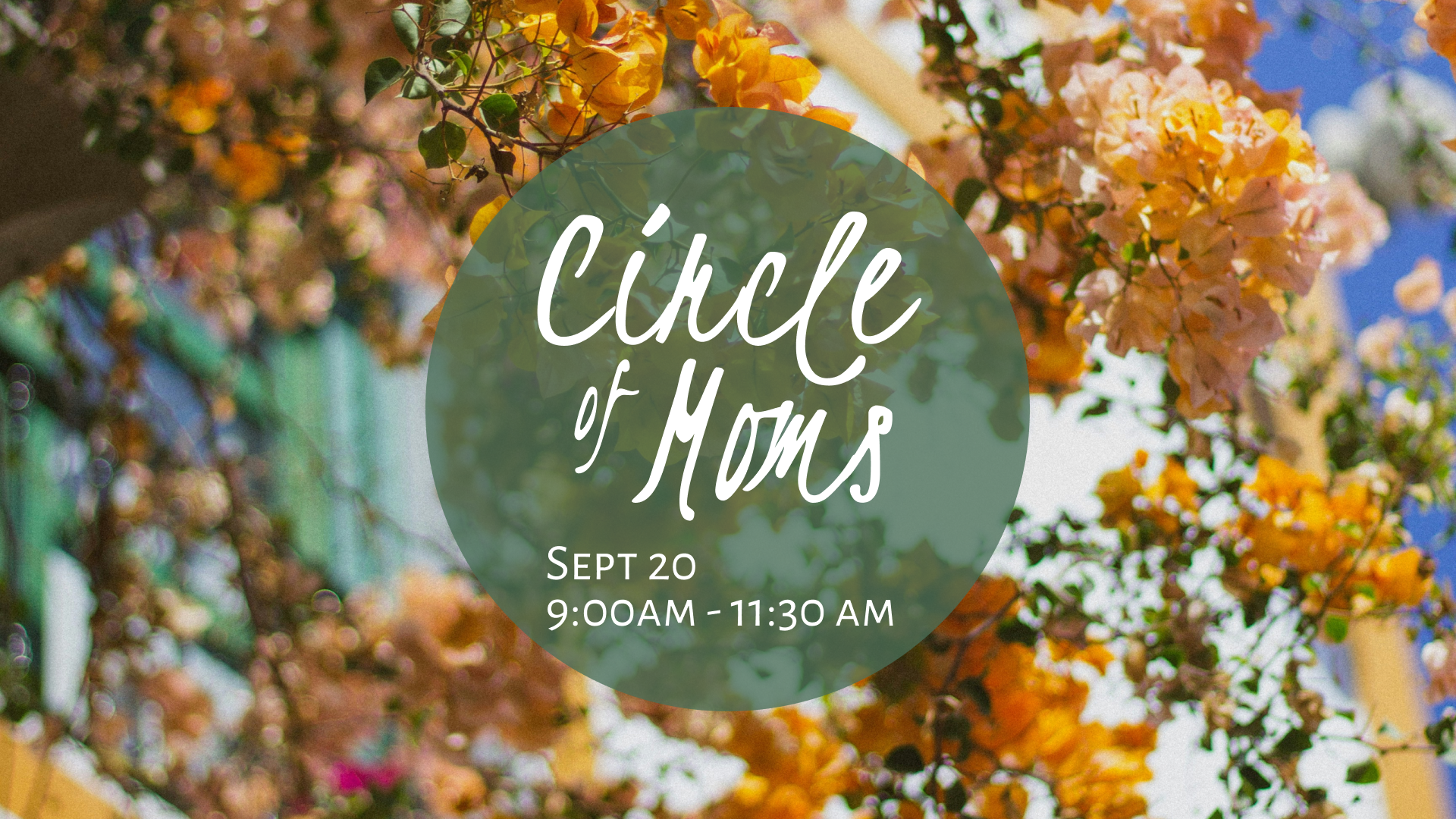 Circle of Moms