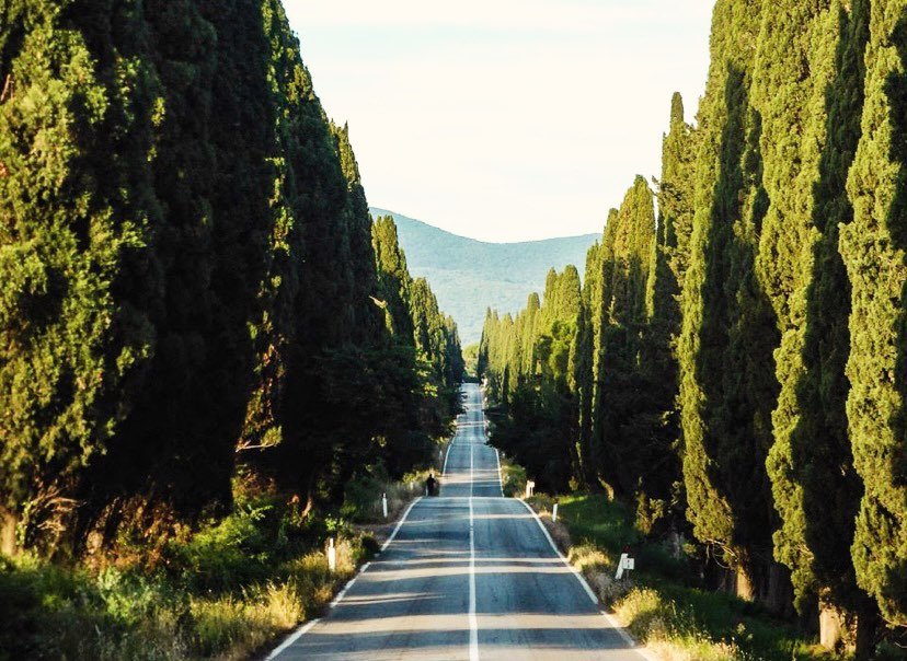 &hellip;our favourite place for authentic Tuscan wine, home of some of our favourite &ldquo;Super Tuscan&rdquo; wines🍷 : ❤️ BOLGHERI ❤️ 29km / Less than 30 minutes by car

.
.
.
.
.
.
.
.
.
.

#tuscany #toscana #igerstuscany #igersitalia #igerstosca