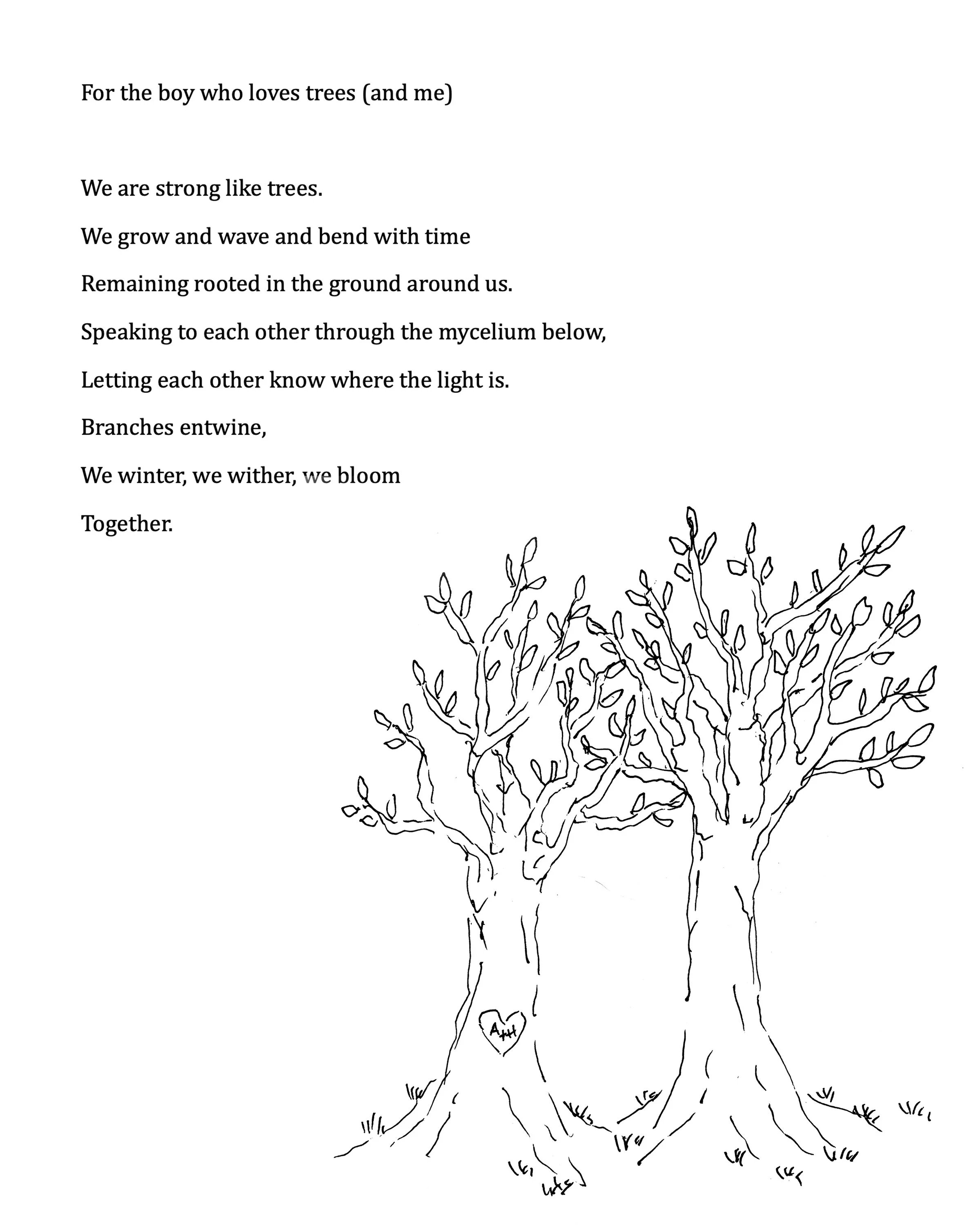trees.jpg