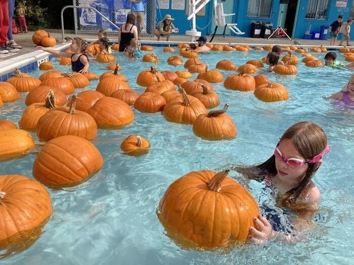 Surprise Pumpkin Splash