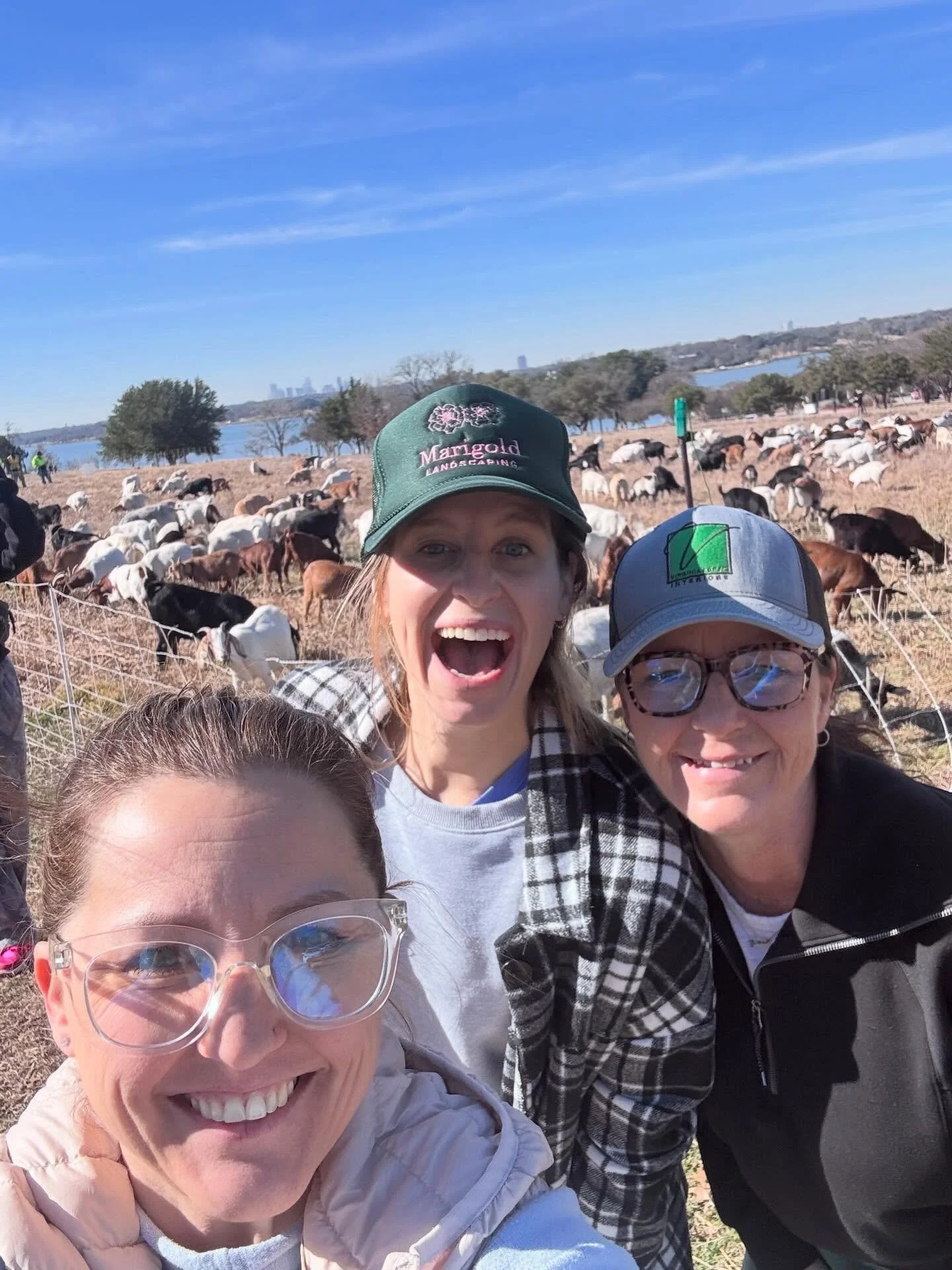 When there are goats. You go!!