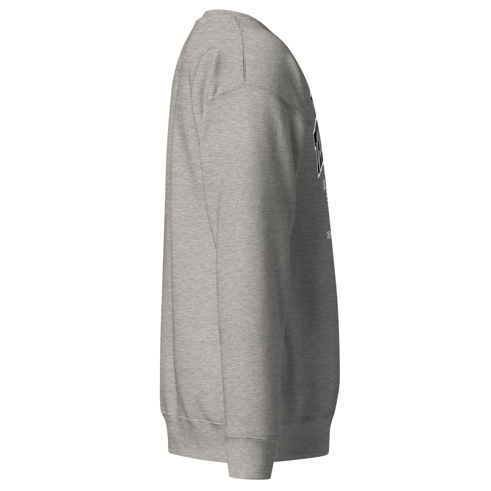 unisex-premium-sweatshirt-carbon-grey-right-6ab3e90d3a809.jpg