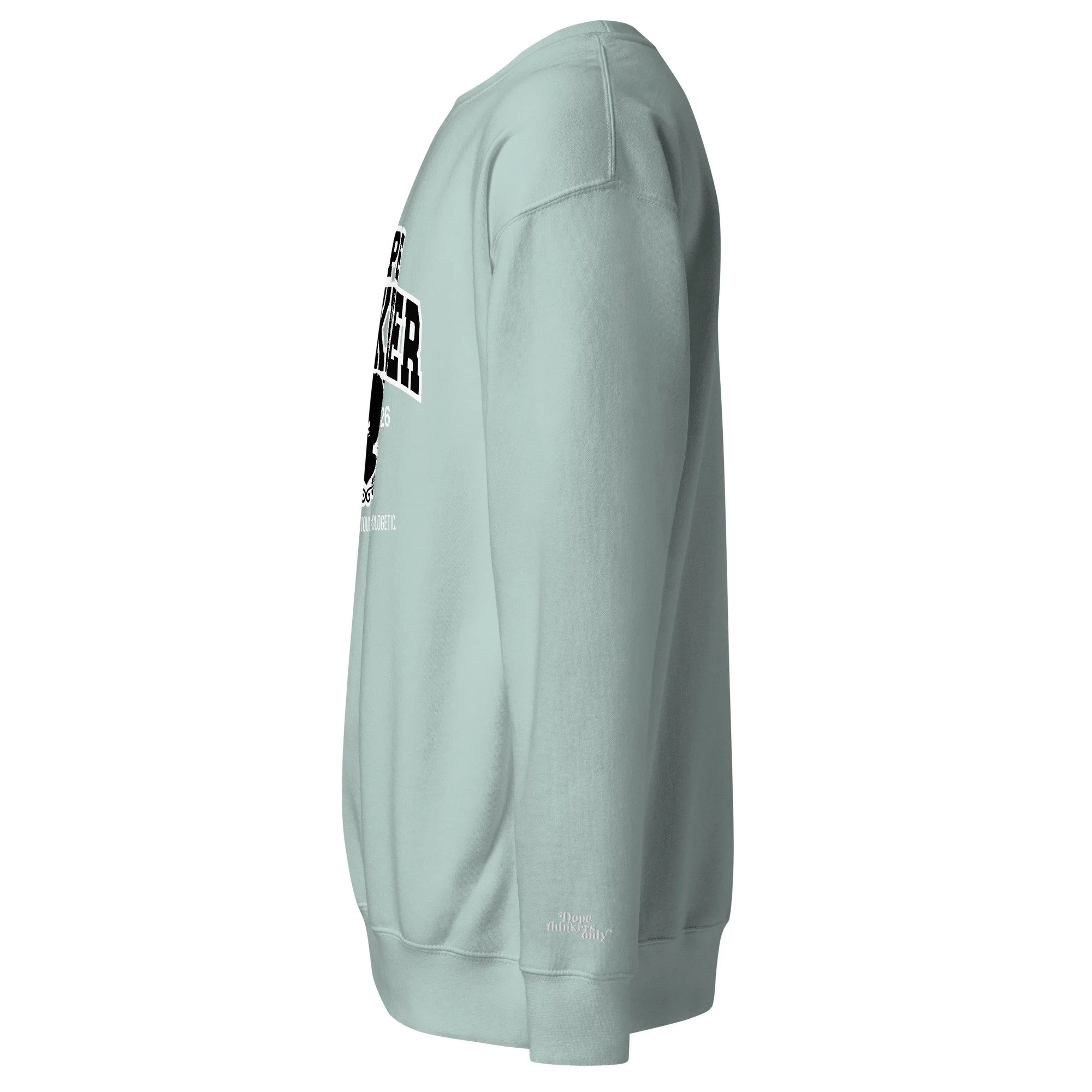 unisex-premium-sweatshirt-agave-left-6ab3e90d39c22.jpg
