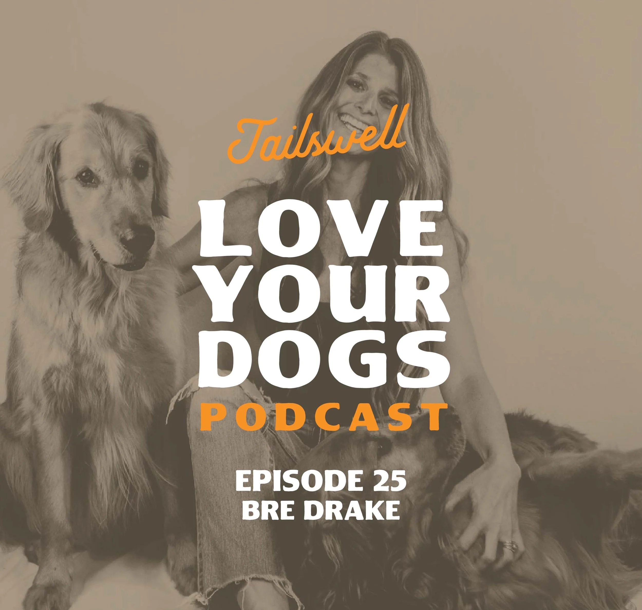 Episode 25: Just Bre: Life on the Road &amp; The Dogs That Changed Everything