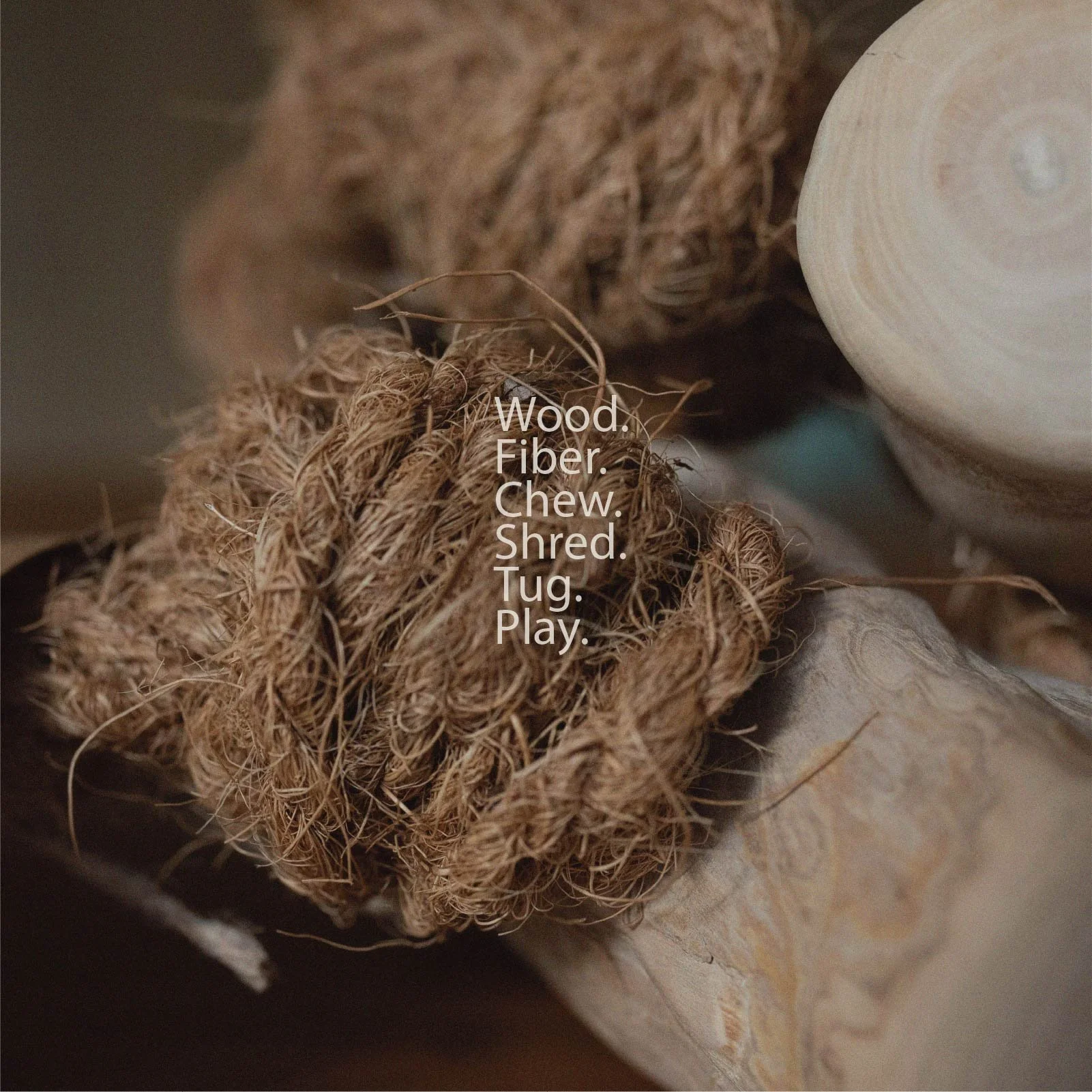 CoffeeWood_WebsitePhotos_Artboard 1-13.jpg