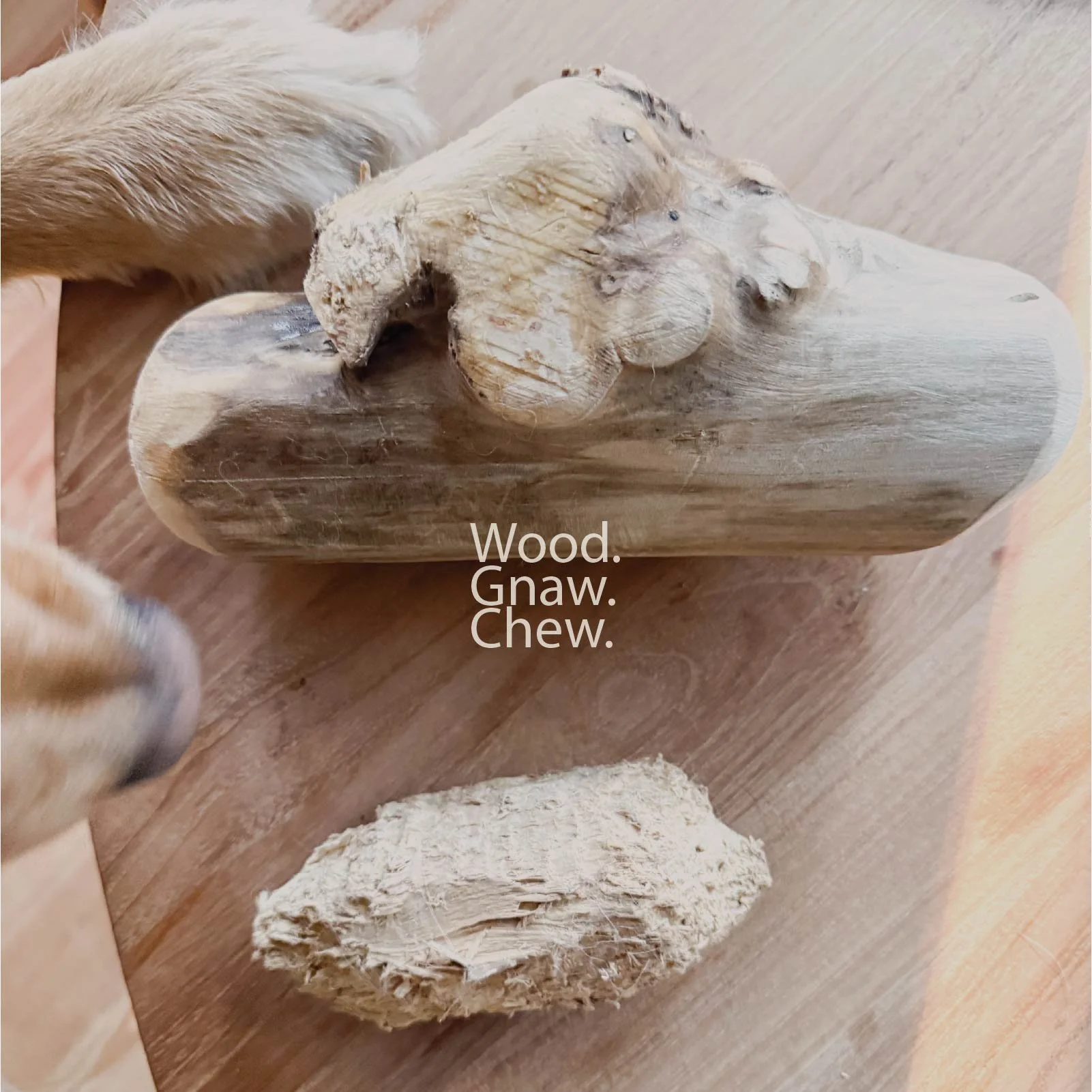 CoffeeWood_WebsitePhotos_Artboard 1-17.jpg