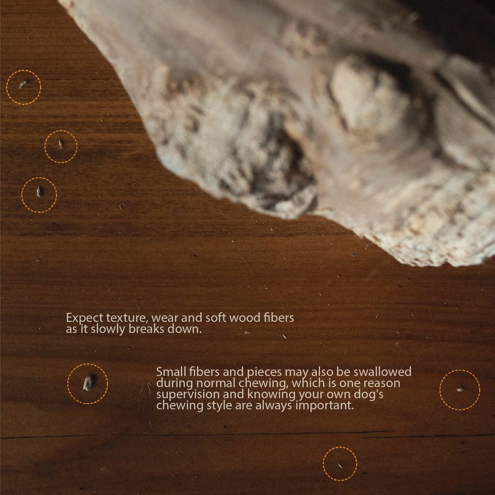 CoffeeWood_WebsitePhotos.jpg