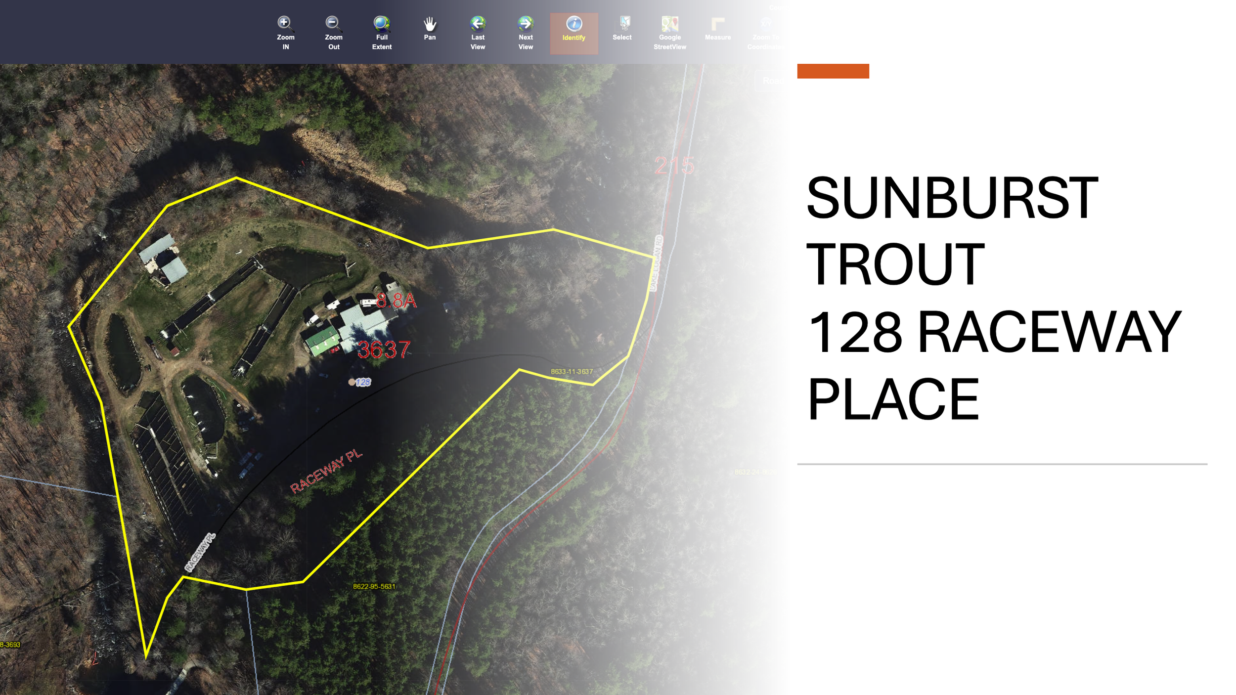 Screen Shot 2025-01-19 at 12.42.10 AM.png