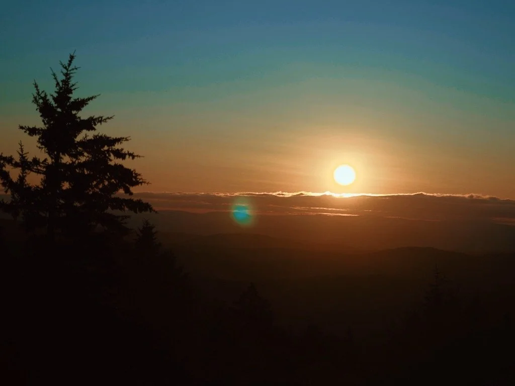 Some snippets of my favorite projects/shots within the last year.

Could not fit them all on one post😔

Truly thankful for all the opportunities over the last 6 months or so. Looking back to see how much my videos have grown since even just the summ