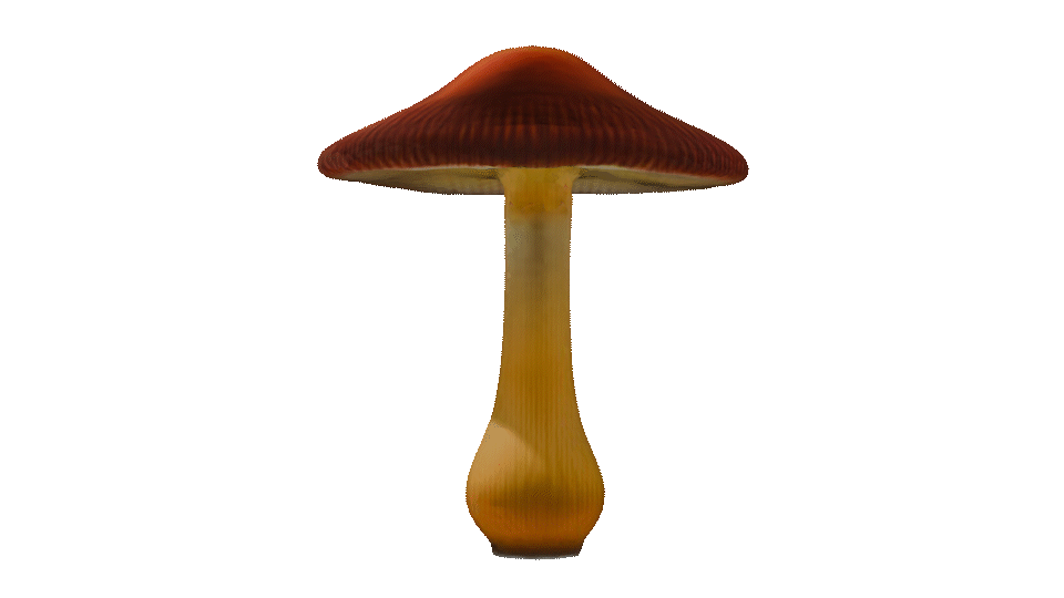 mushroom-lamp.gif