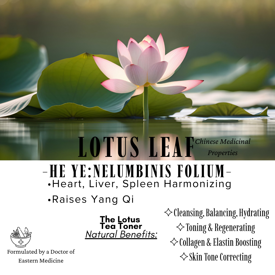 lotusad3.png