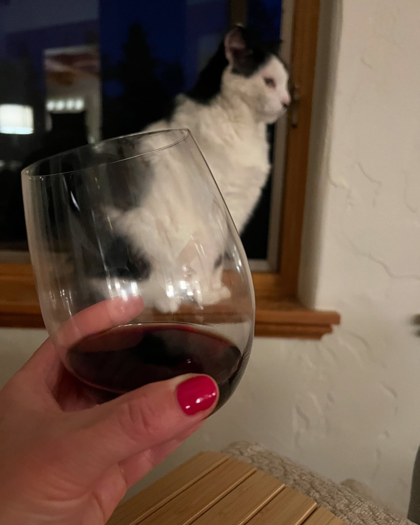 When your cat judges your wine choice.🍷😻

#wine #cat #catsofinstagram #winelover #winetime #fridaynightfun