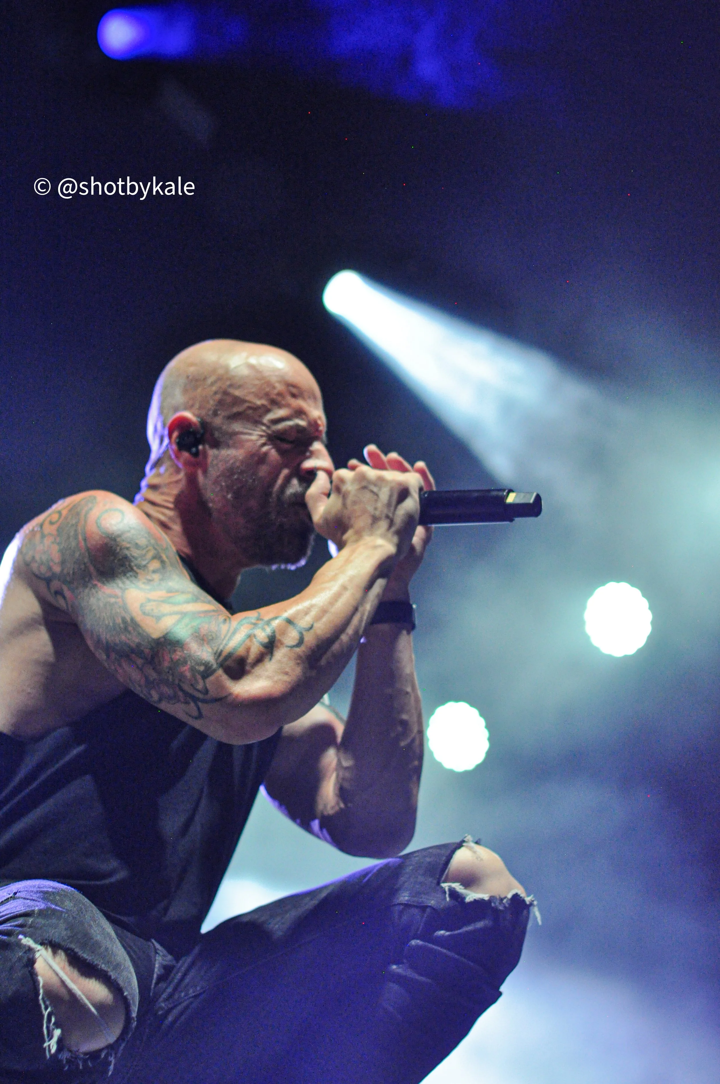daughtry (8).JPG